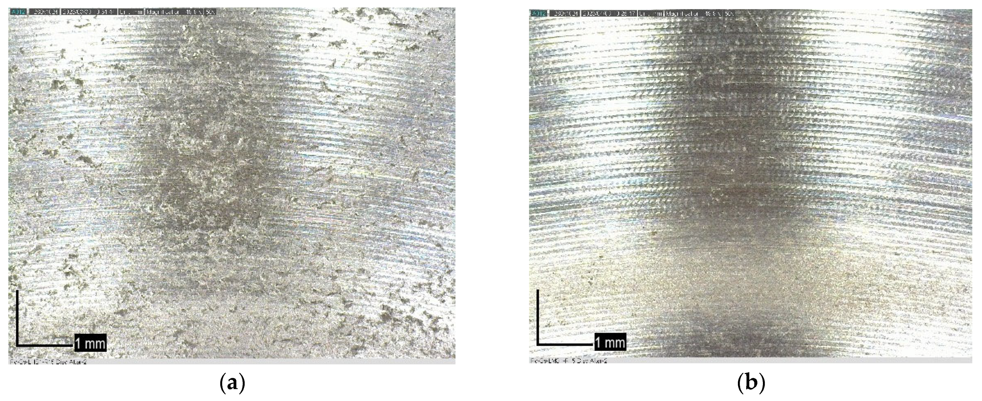 Lubricants 13 00043 g003