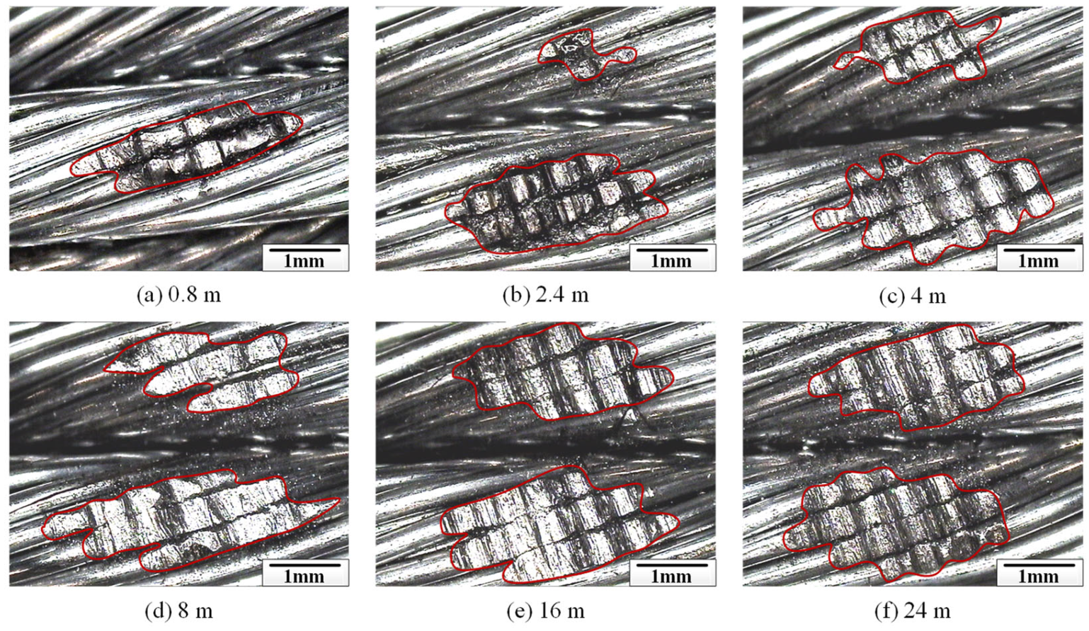 Lubricants 13 00059 g008