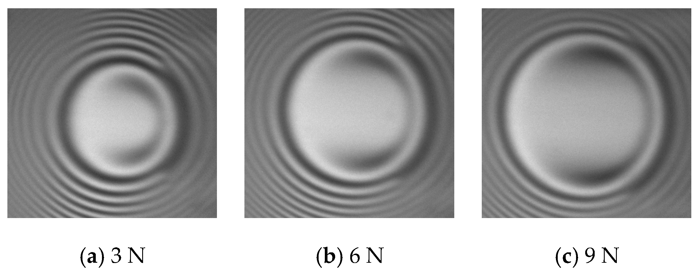 Lubricants 13 00062 g010