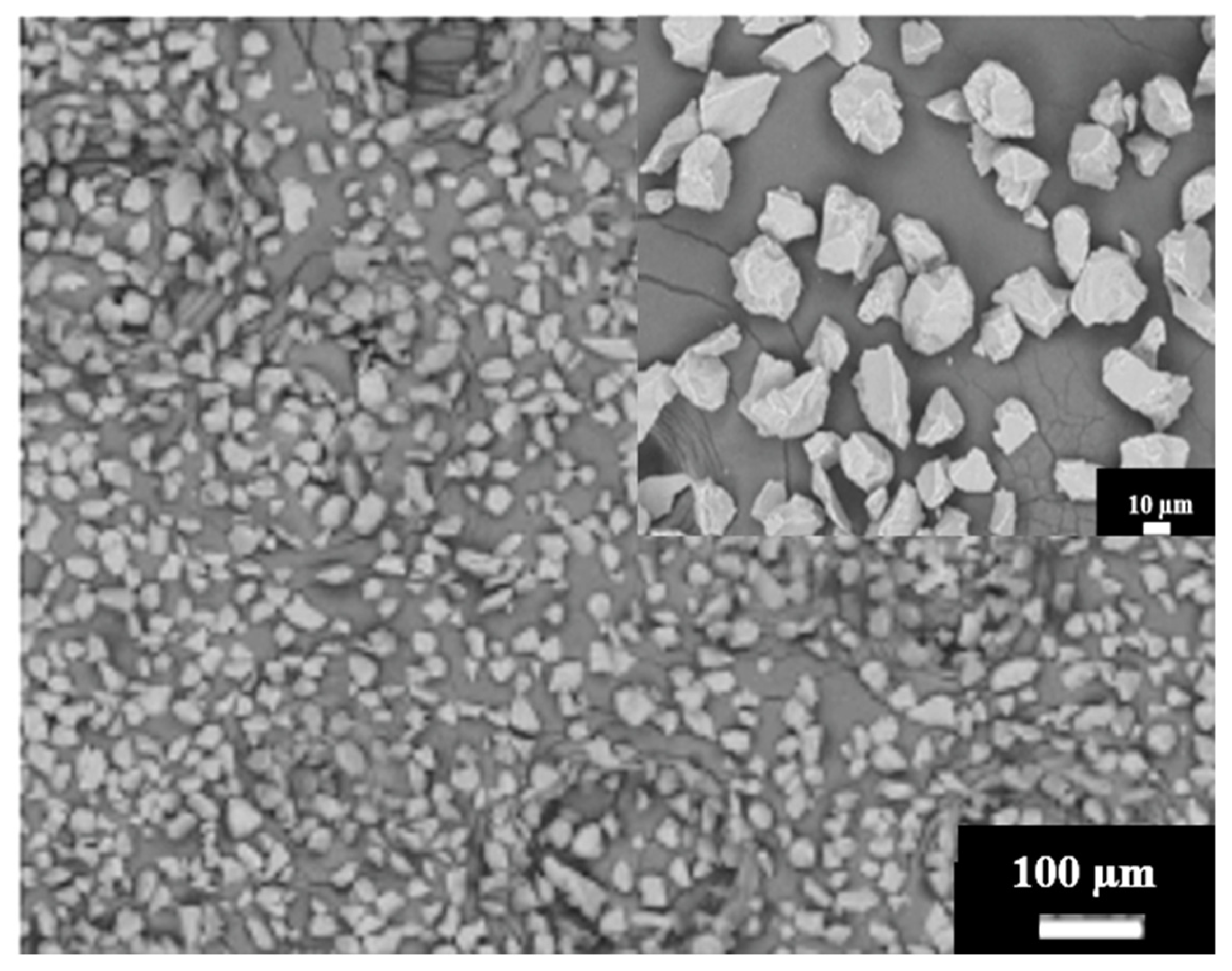 Lubricants 13 00071 g001