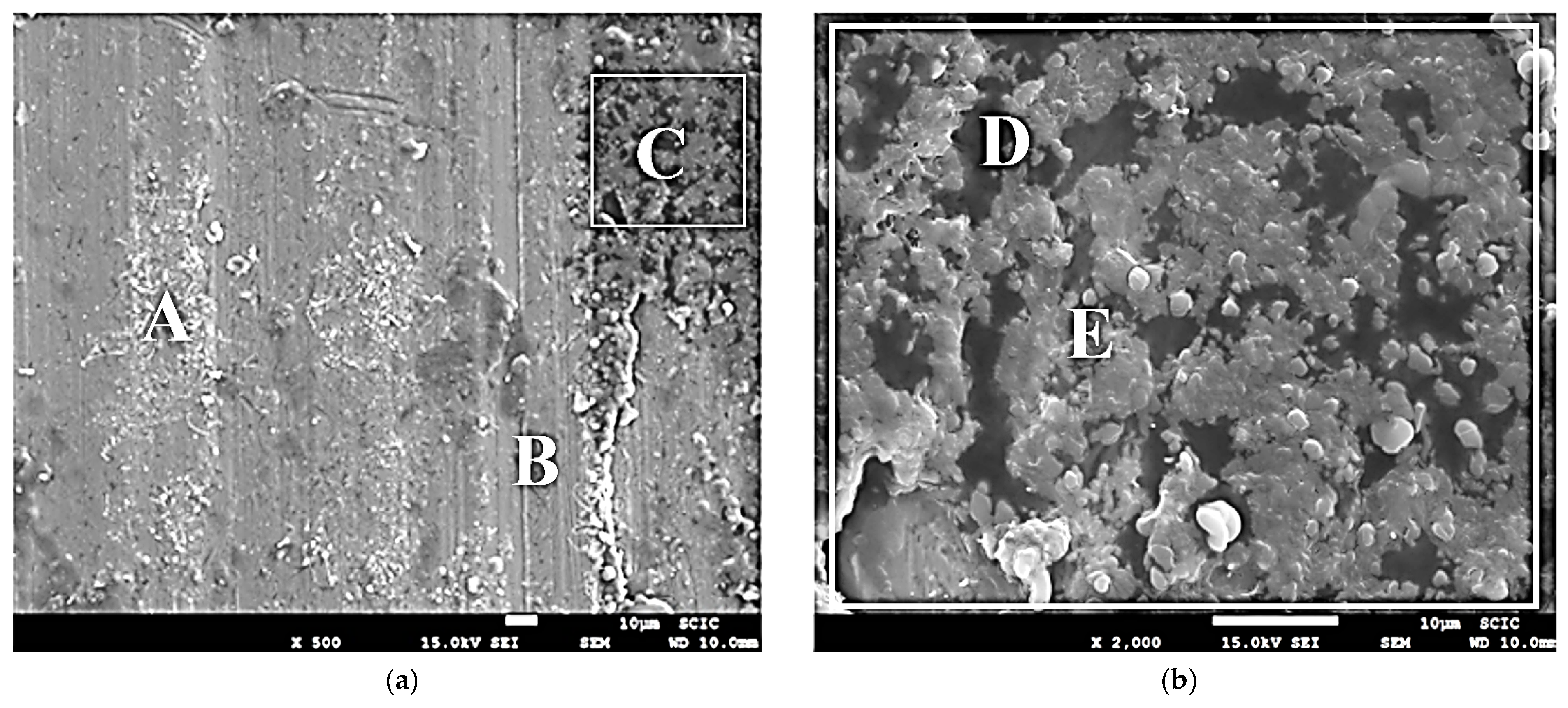 Lubricants 13 00071 g009