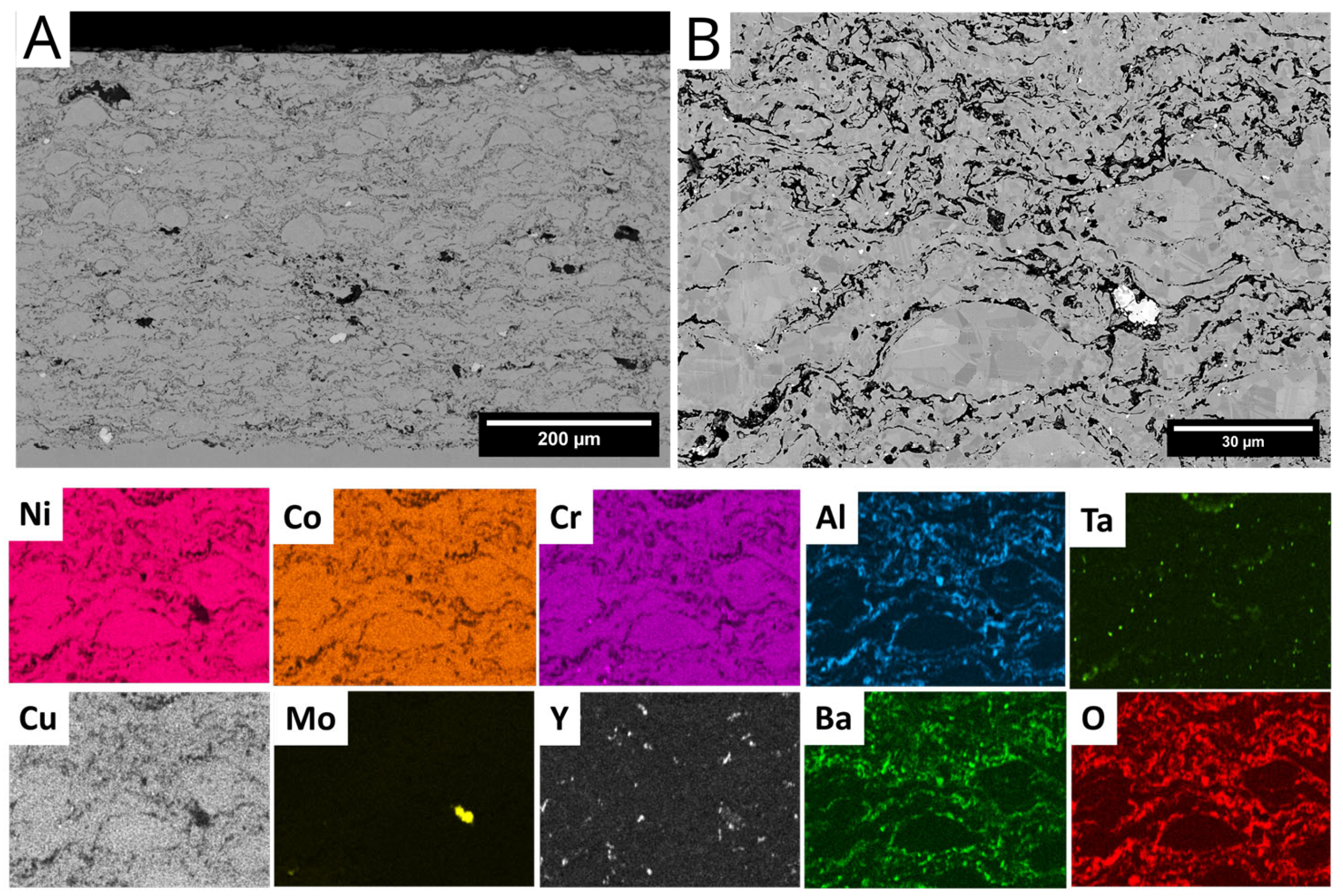 Lubricants 13 00073 g003