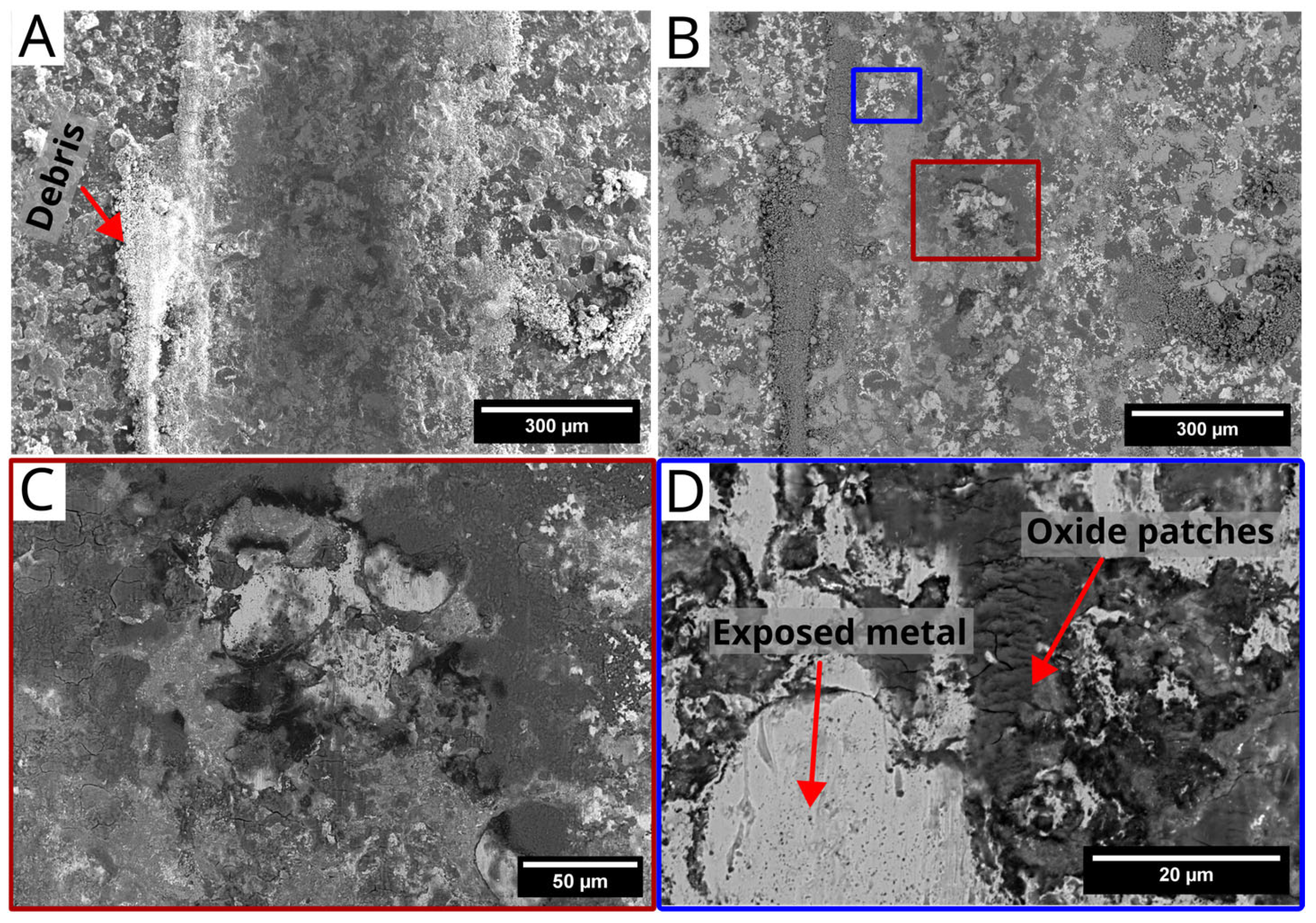 Lubricants 13 00073 g010