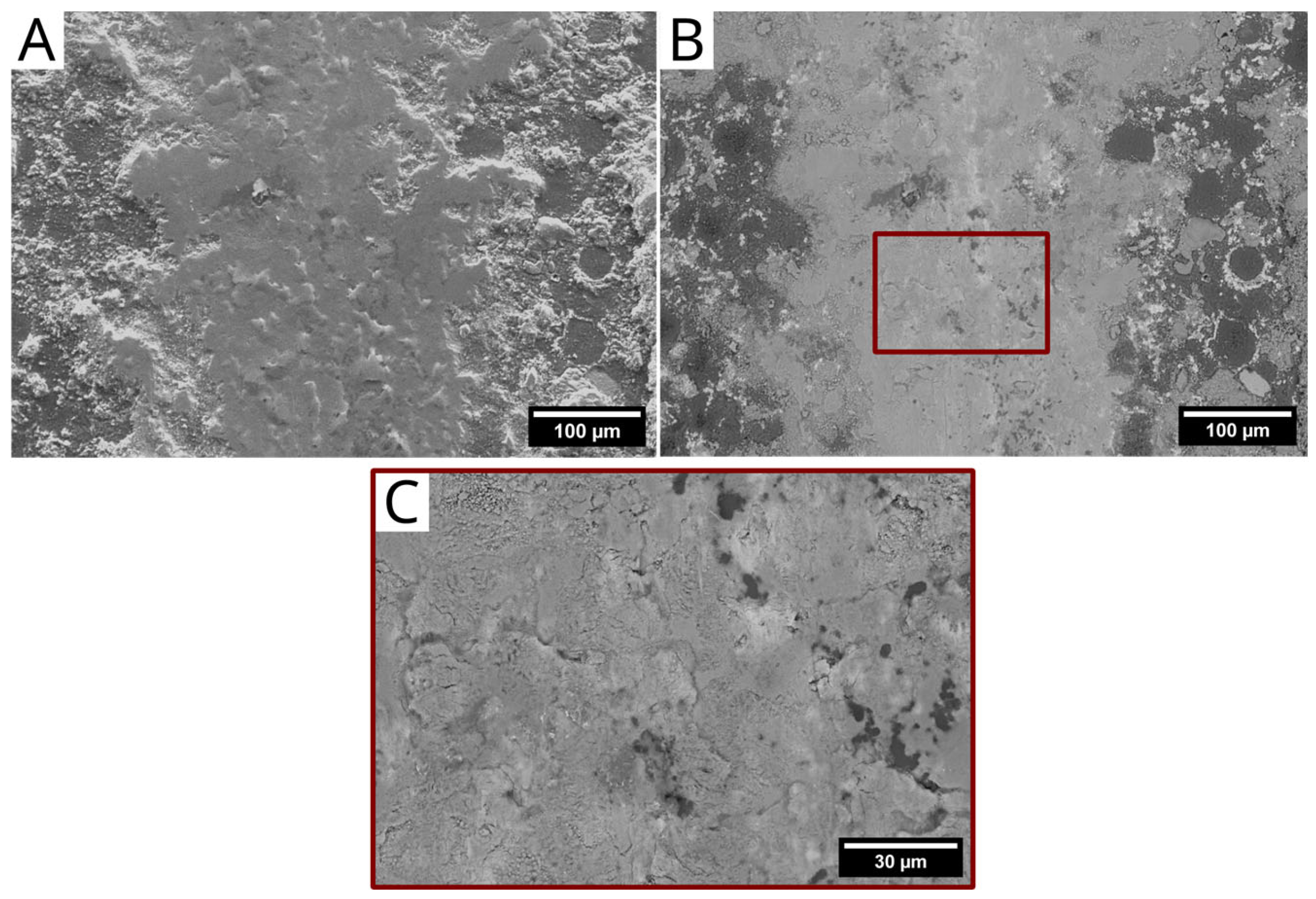 Lubricants 13 00073 g011