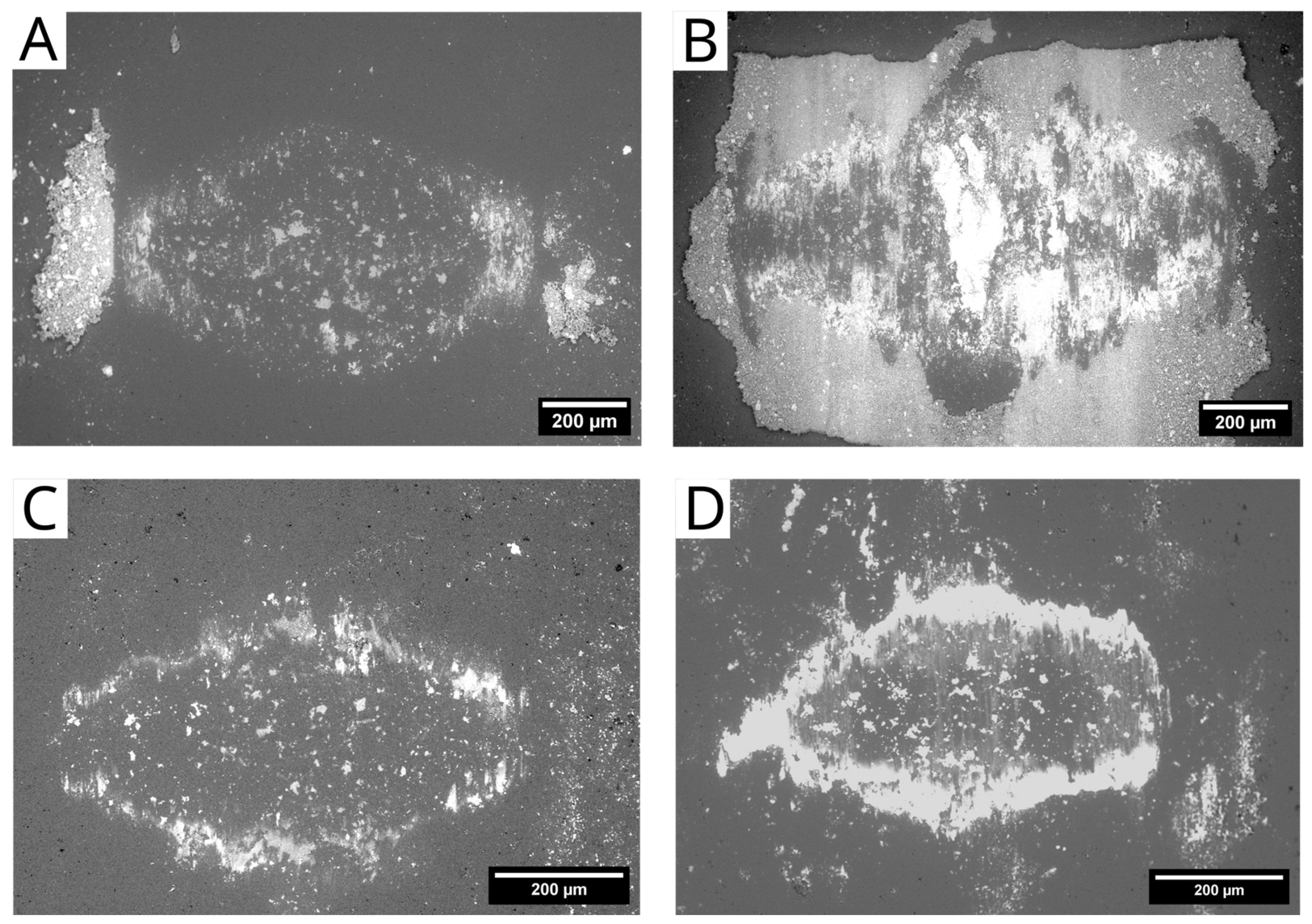 Lubricants 13 00073 g012