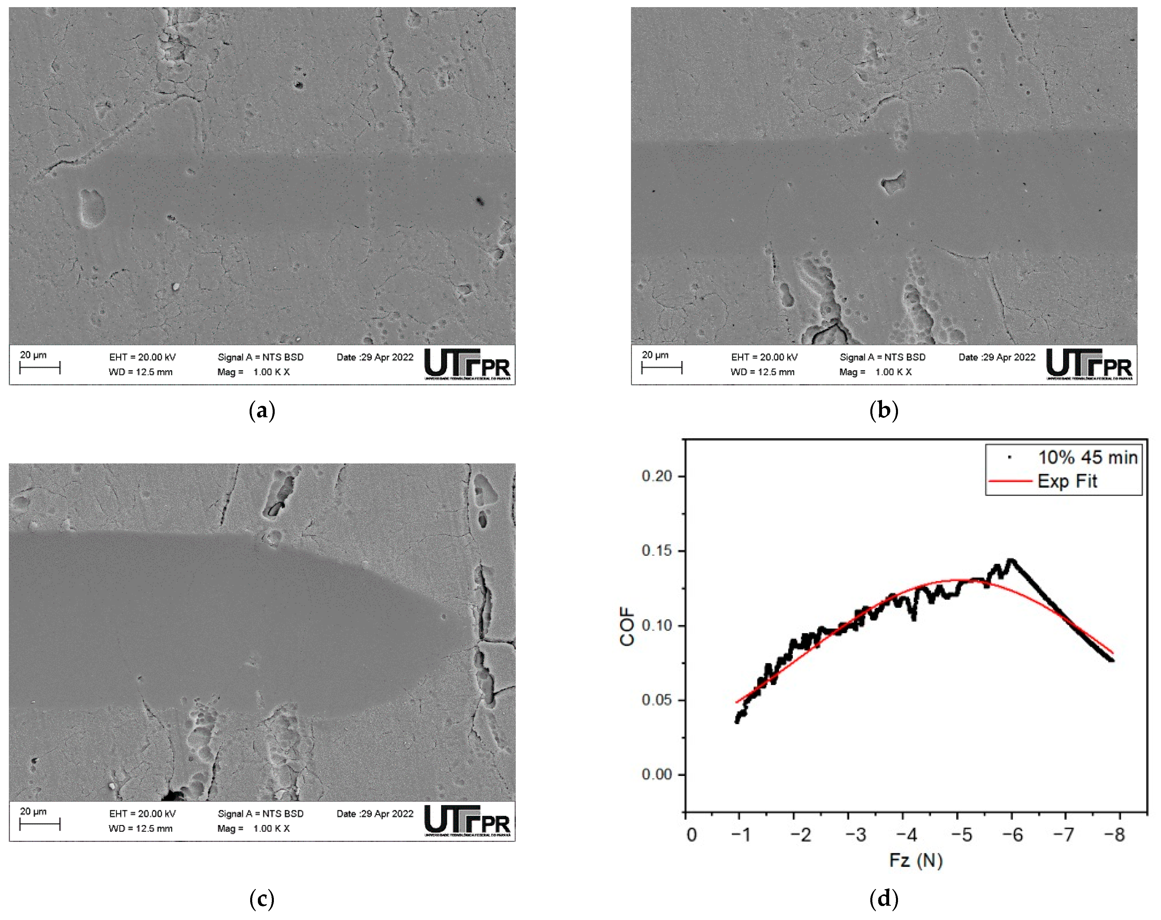 Lubricants 13 00097 g004