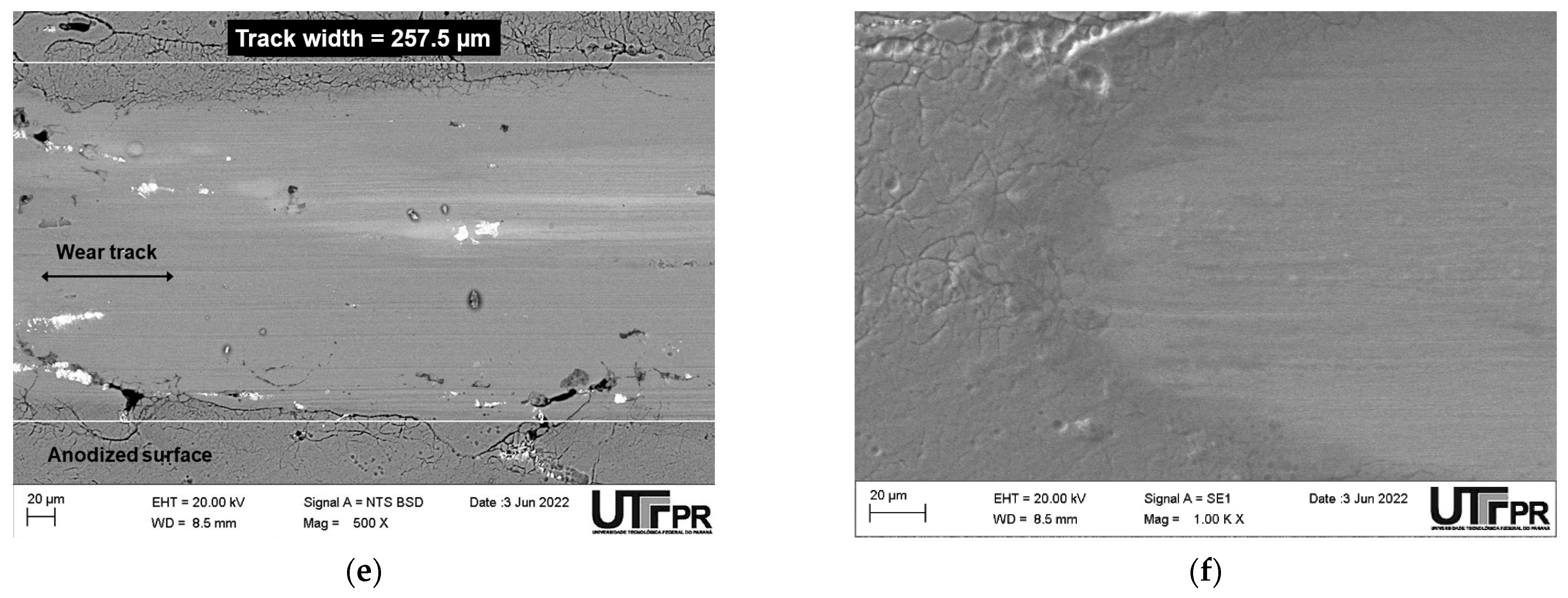 Lubricants 13 00097 g006b