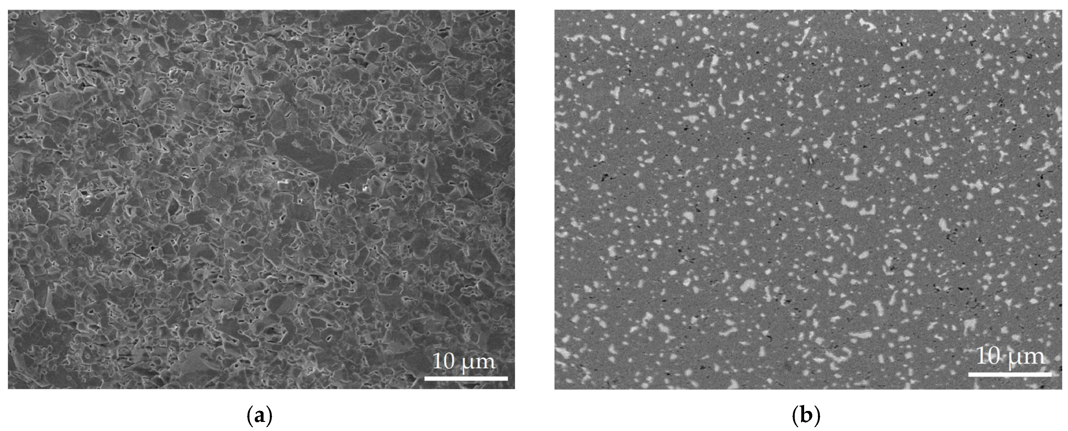 Lubricants 13 00101 g002