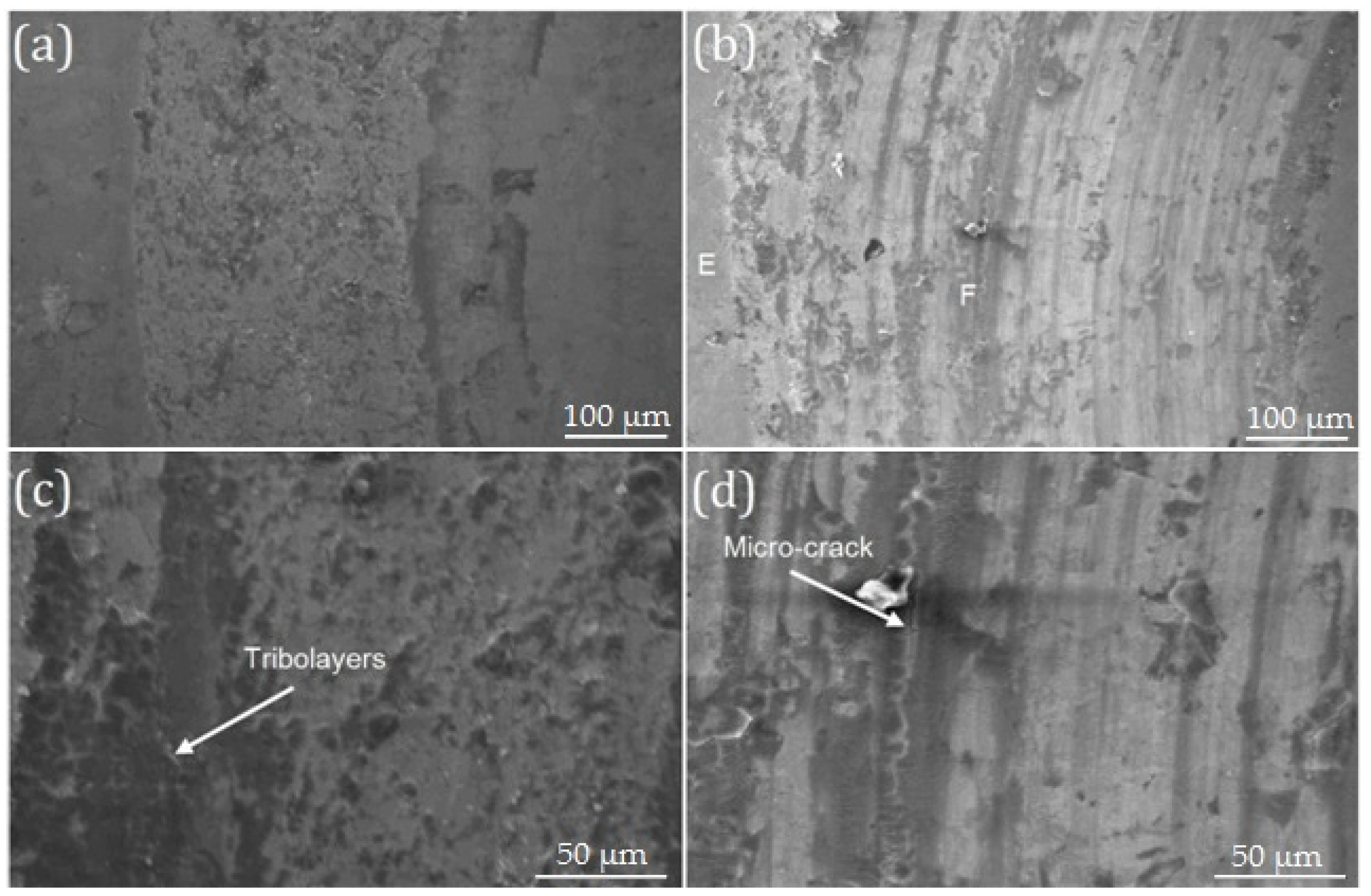 Lubricants 13 00101 g009