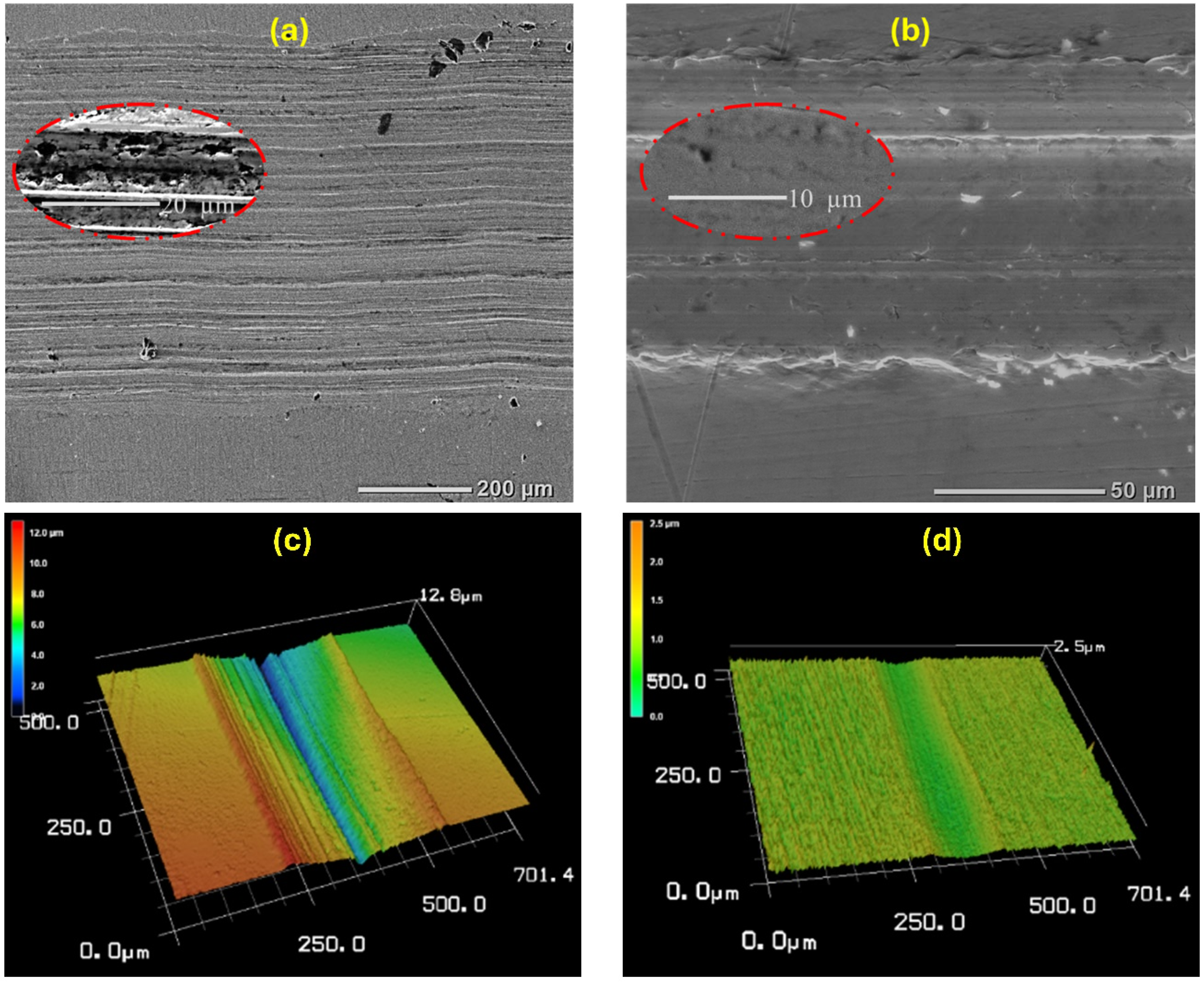 Lubricants 13 00106 g009a