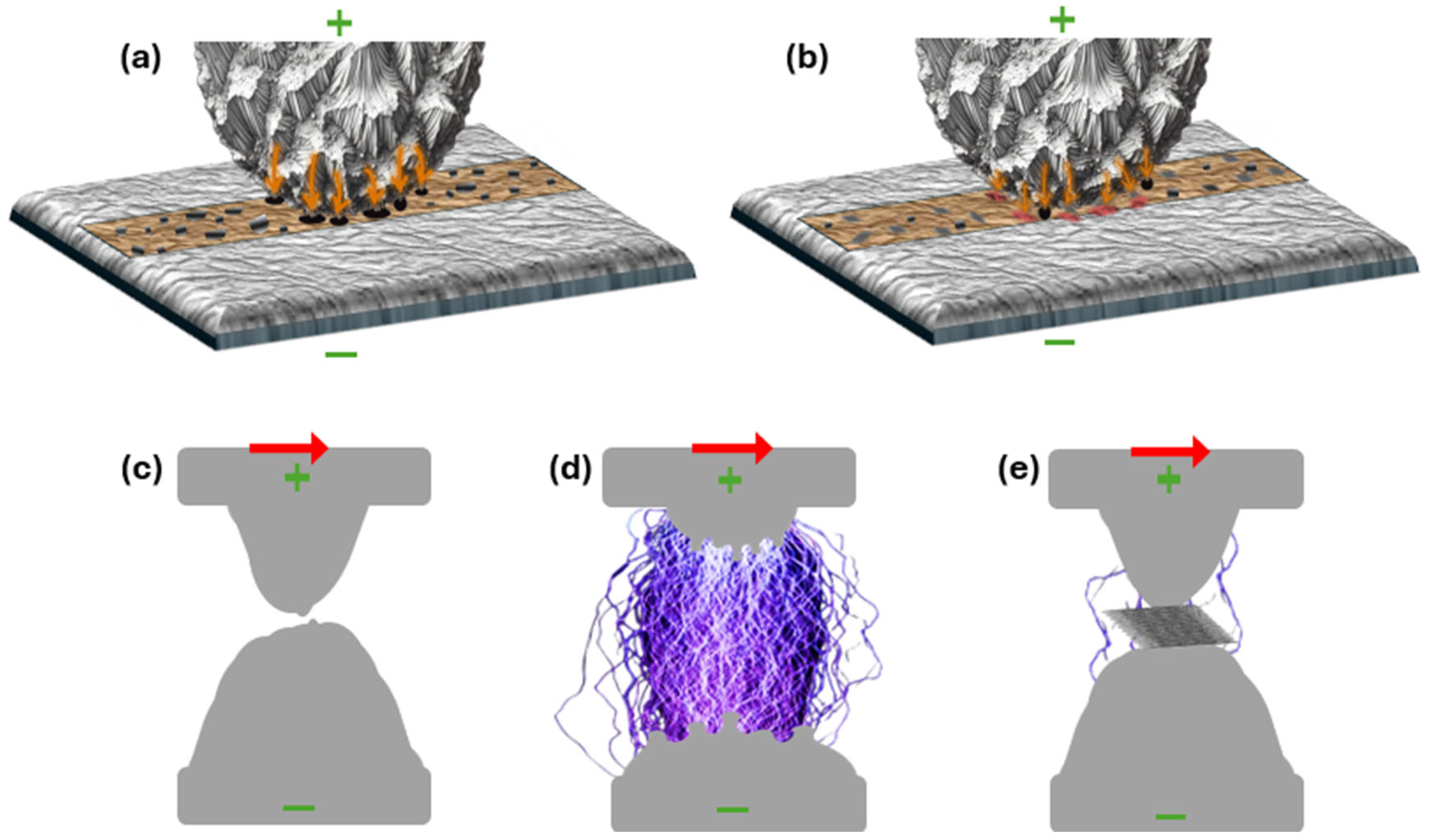 Lubricants 13 00106 g010