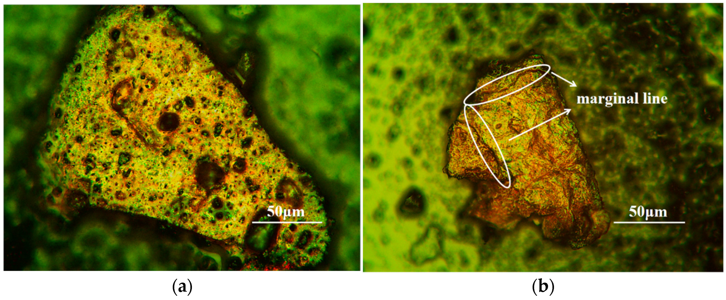Lubricants 13 00107 g010 Lubricants 13 00107 g010