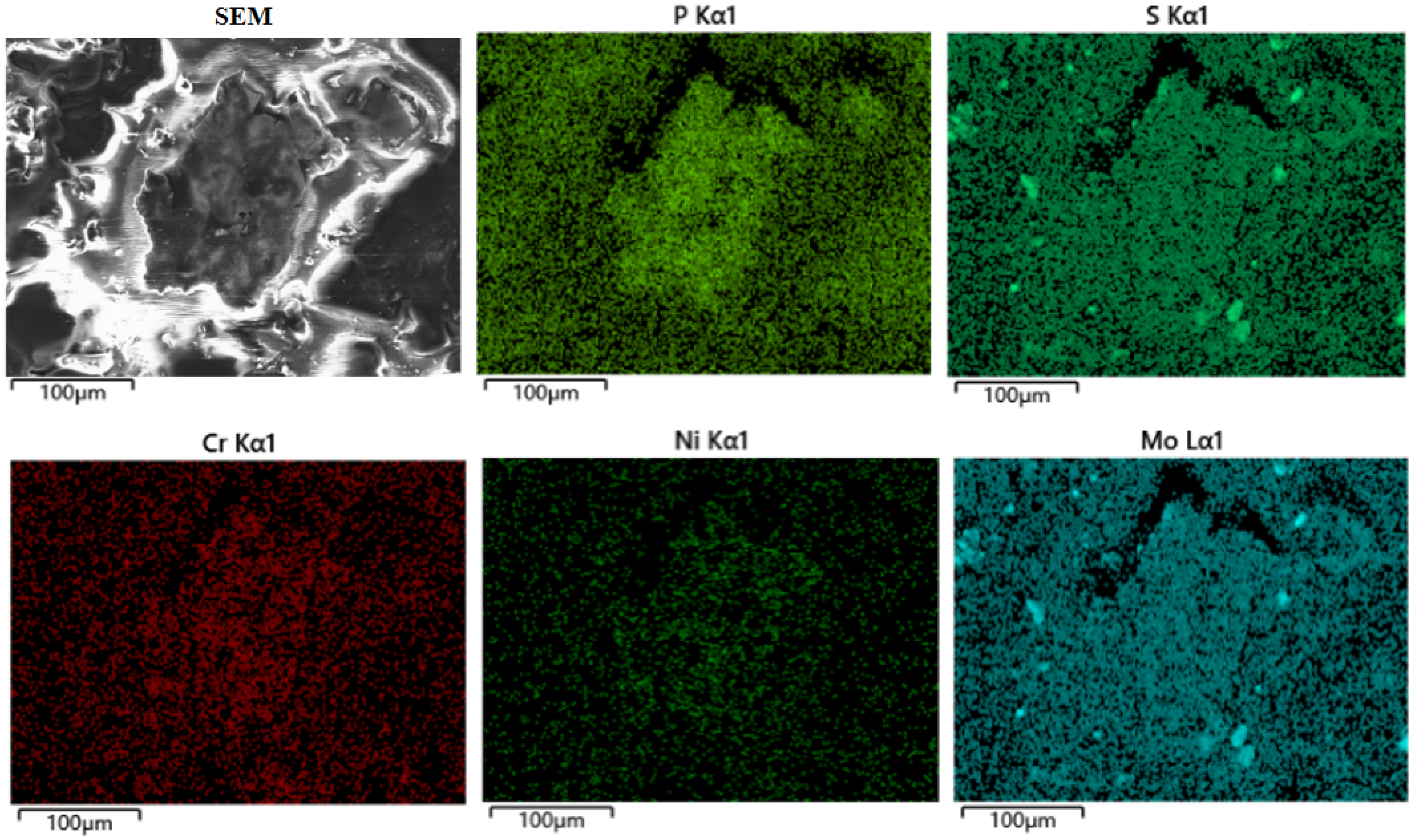 Lubricants 13 00107 g014 Lubricants 13 00107 g014