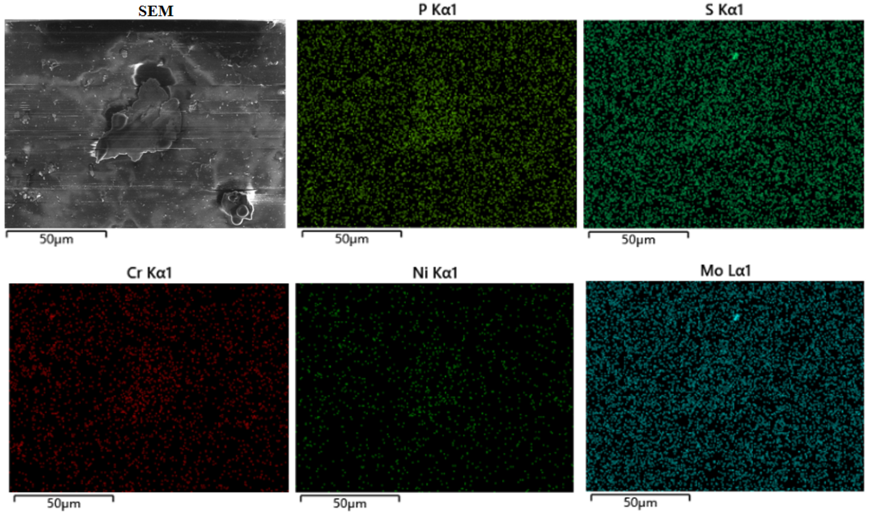 Lubricants 13 00107 g015 Lubricants 13 00107 g015