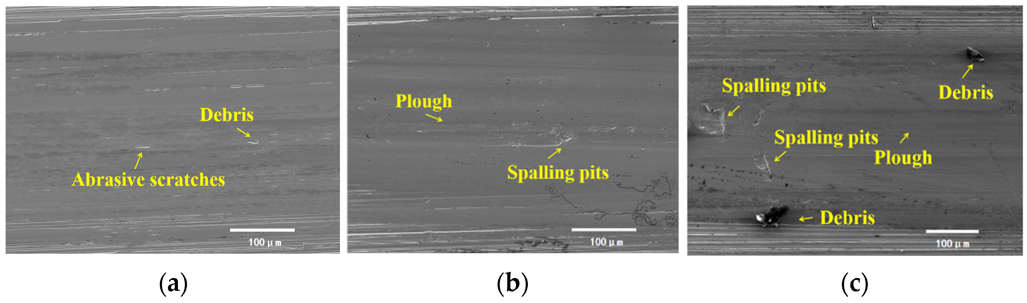 Lubricants 13 00107 g019 Lubricants 13 00107 g019