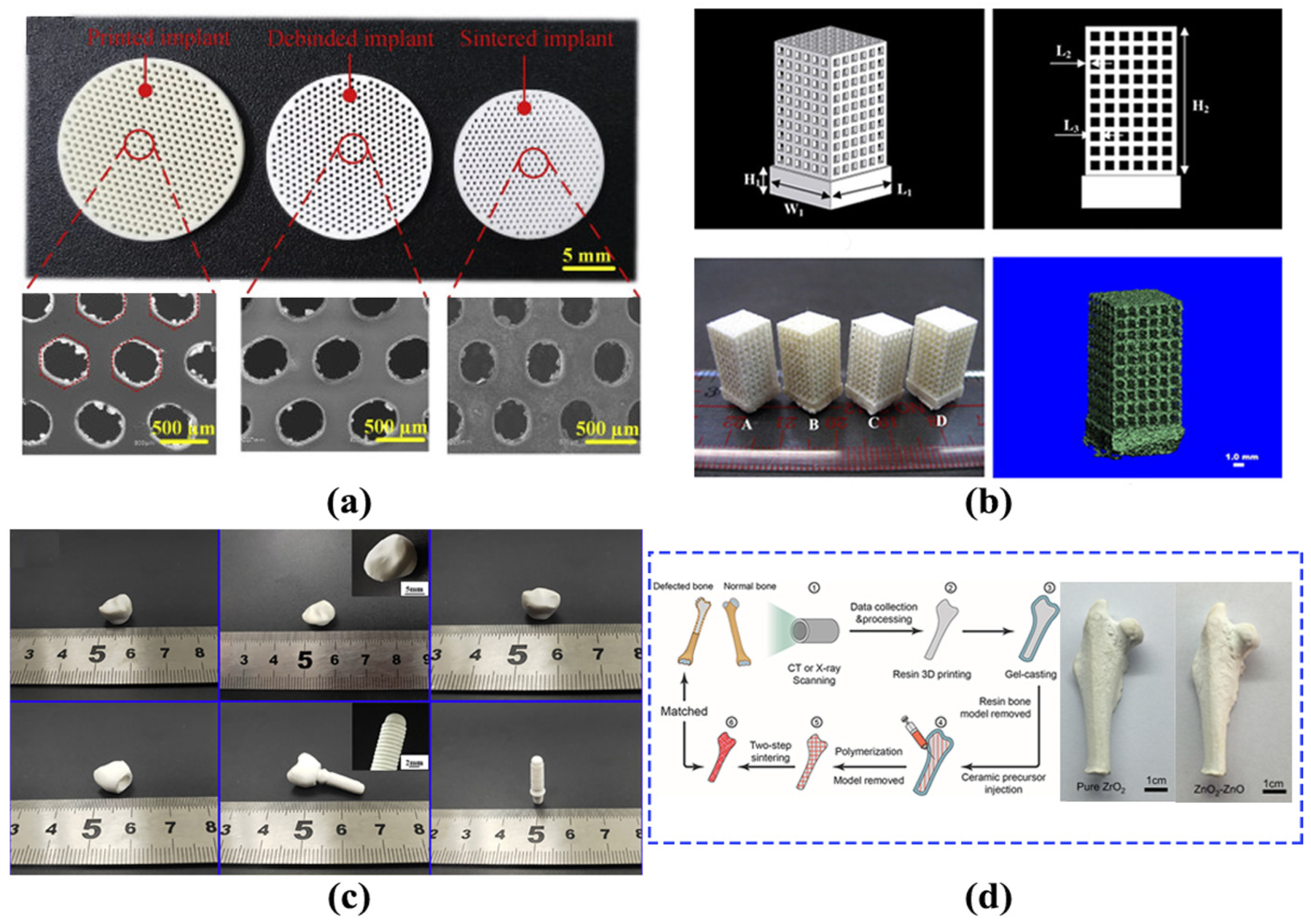 Lubricants 13 00112 g010