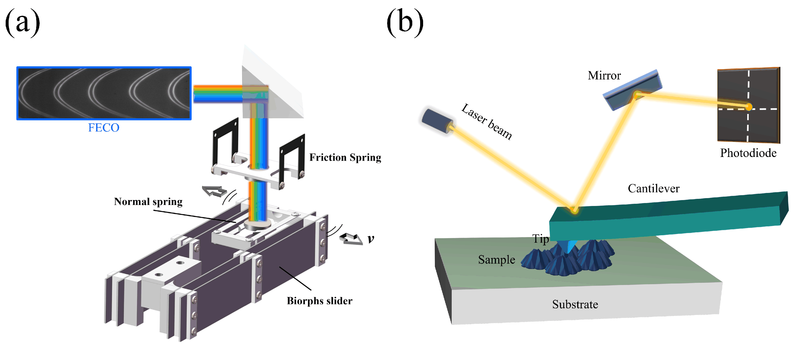 Lubricants 13 00119 g001