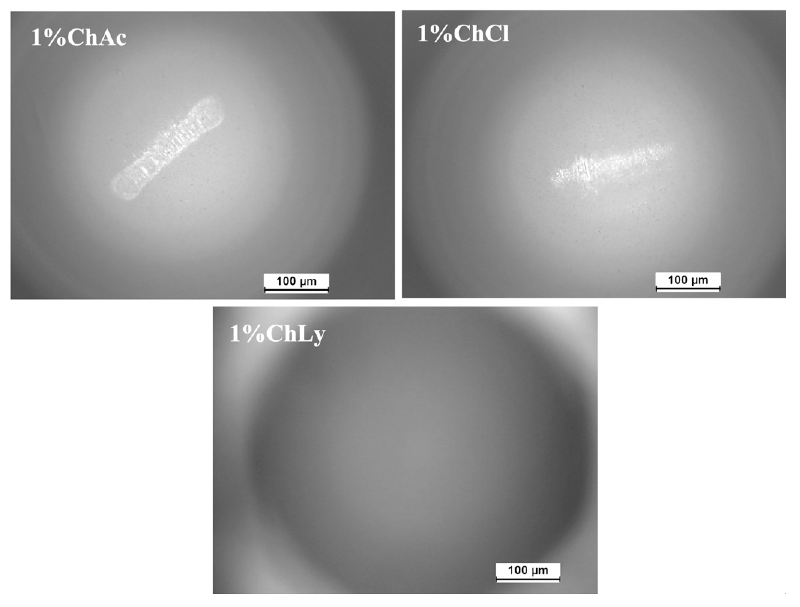 Lubricants 13 00122 g013 Lubricants 13 00122 g013