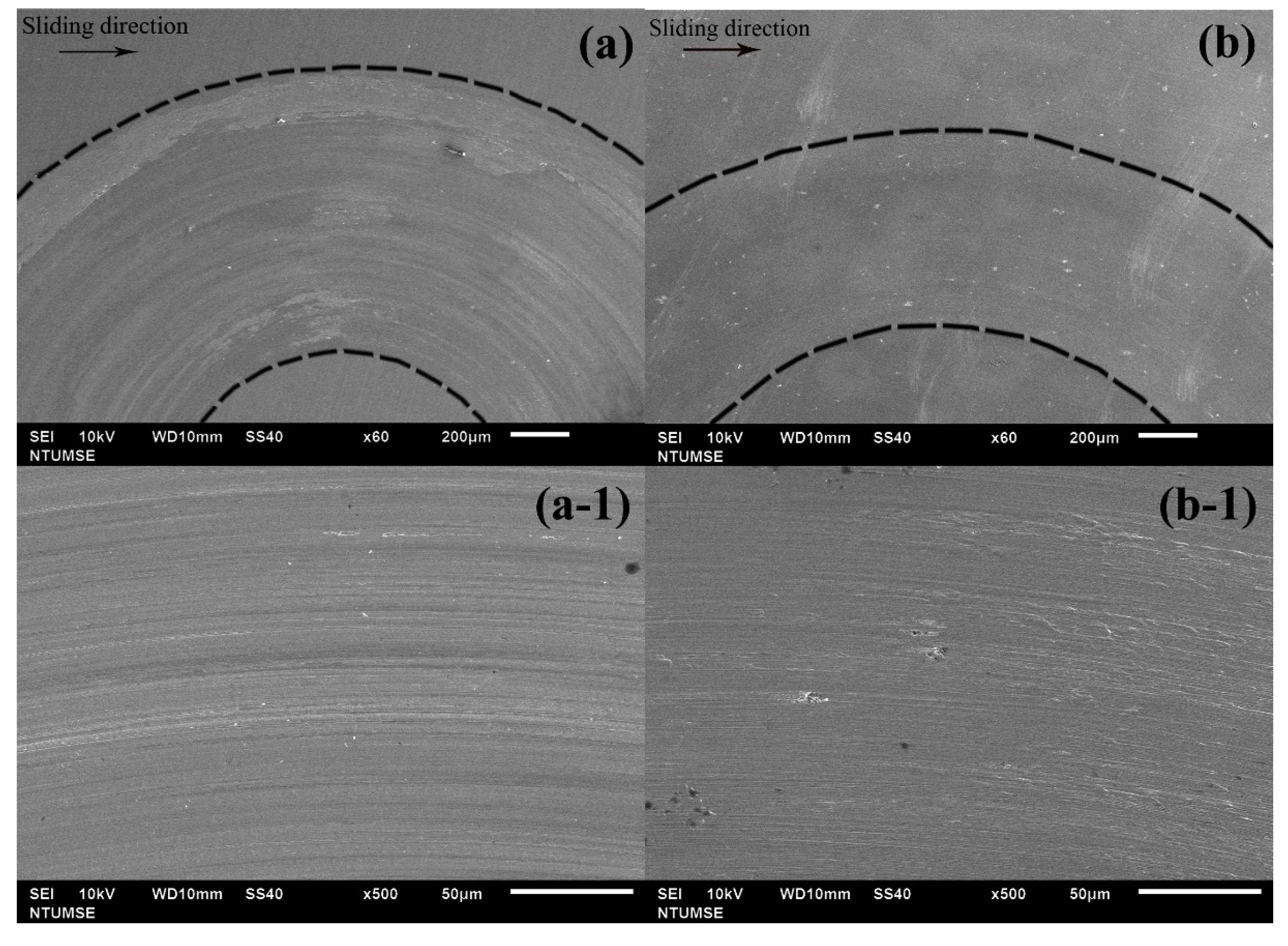 Lubricants 13 00125 g008