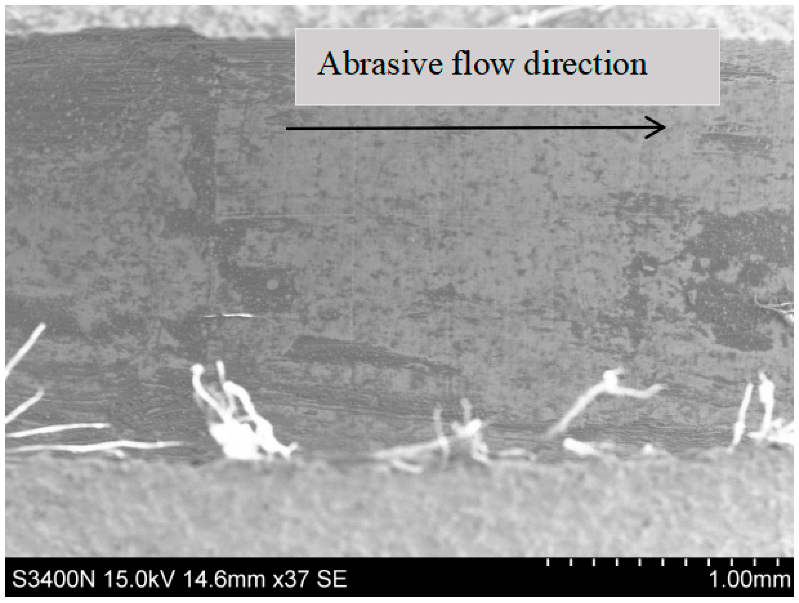 Lubricants 13 00132 g015
