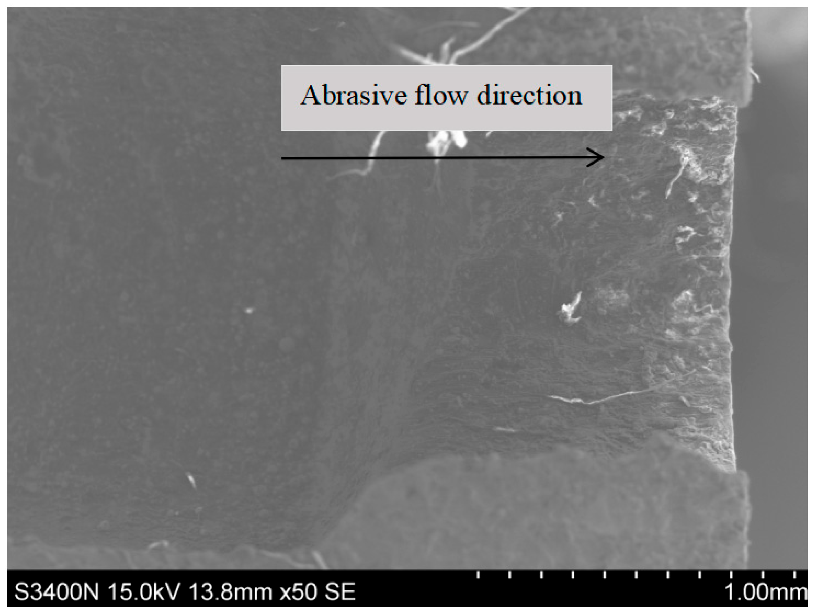 Lubricants 13 00132 g017