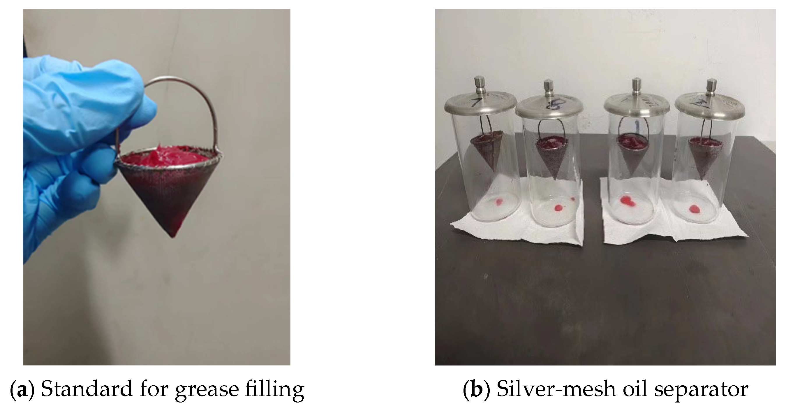 Lubricants 13 00134 g003