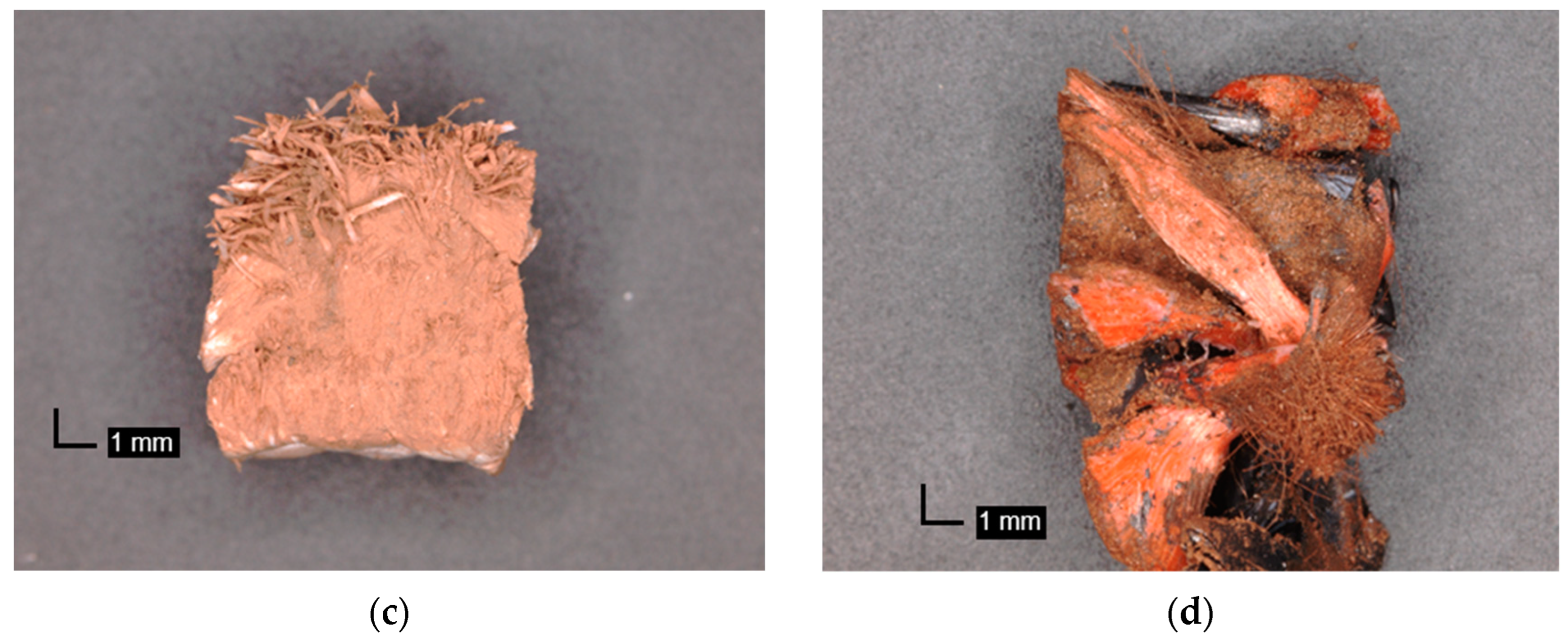 Lubricants 13 00136 g007b