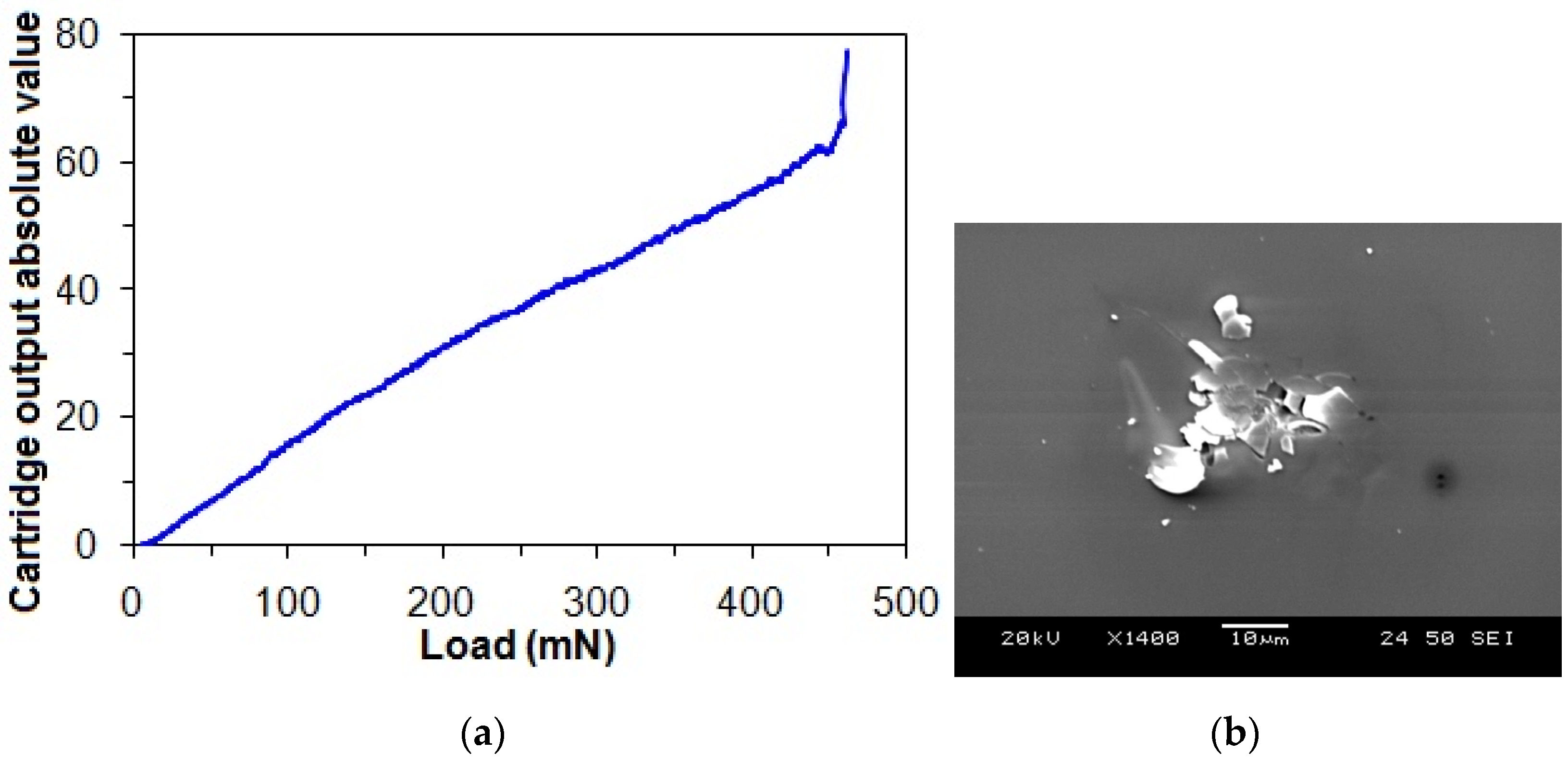 Lubricants 13 00141 g006