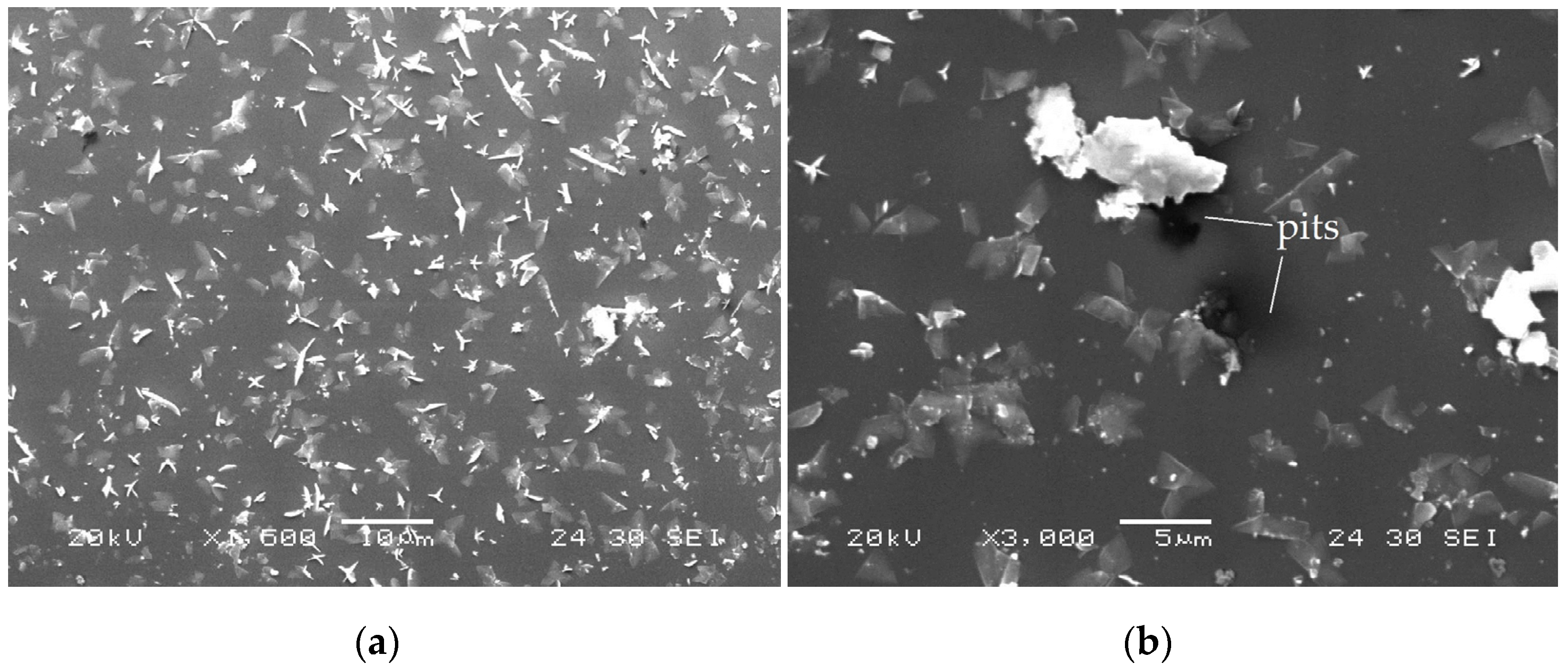 Lubricants 13 00141 g014