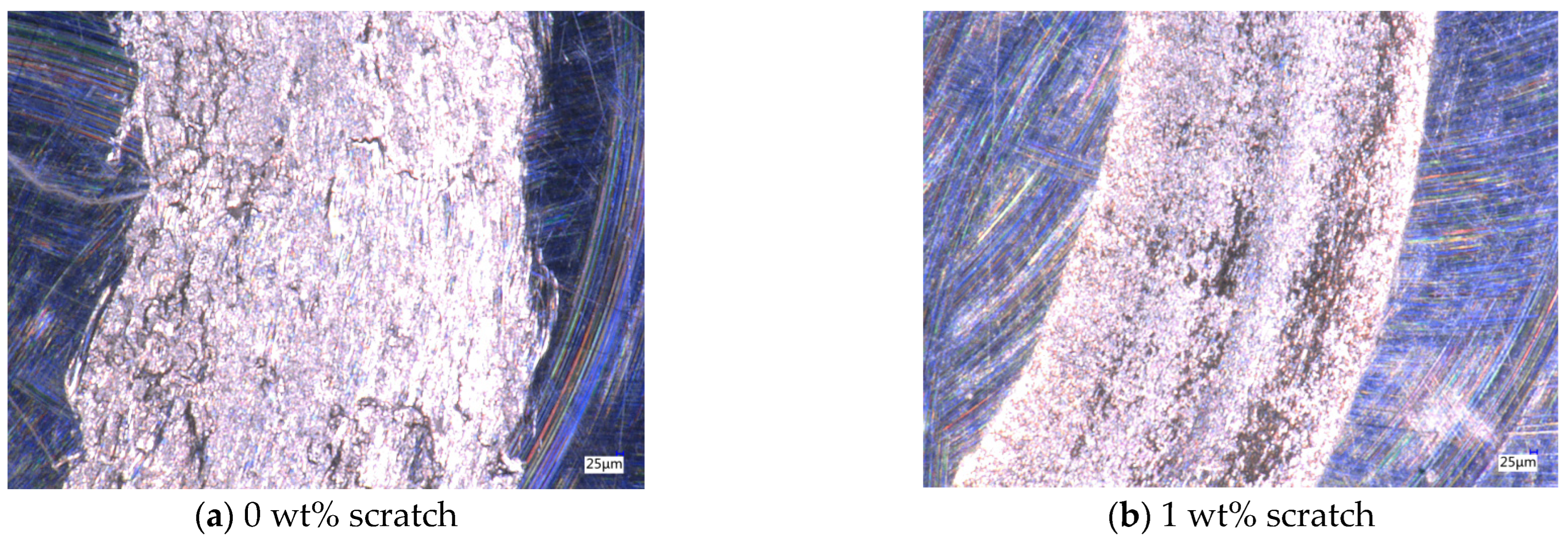 Lubricants 13 00152 g009a