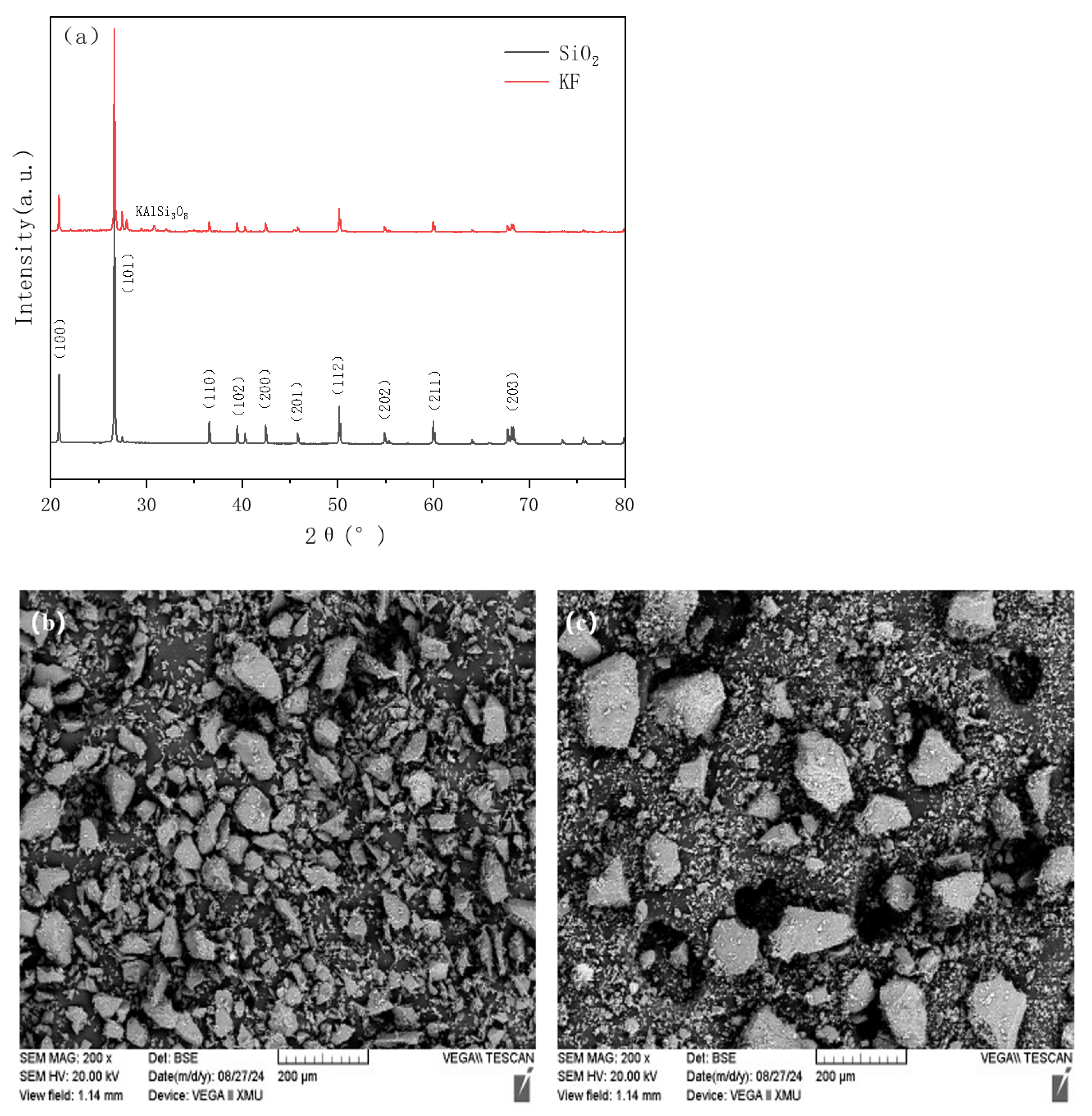 Lubricants 13 00159 g001
