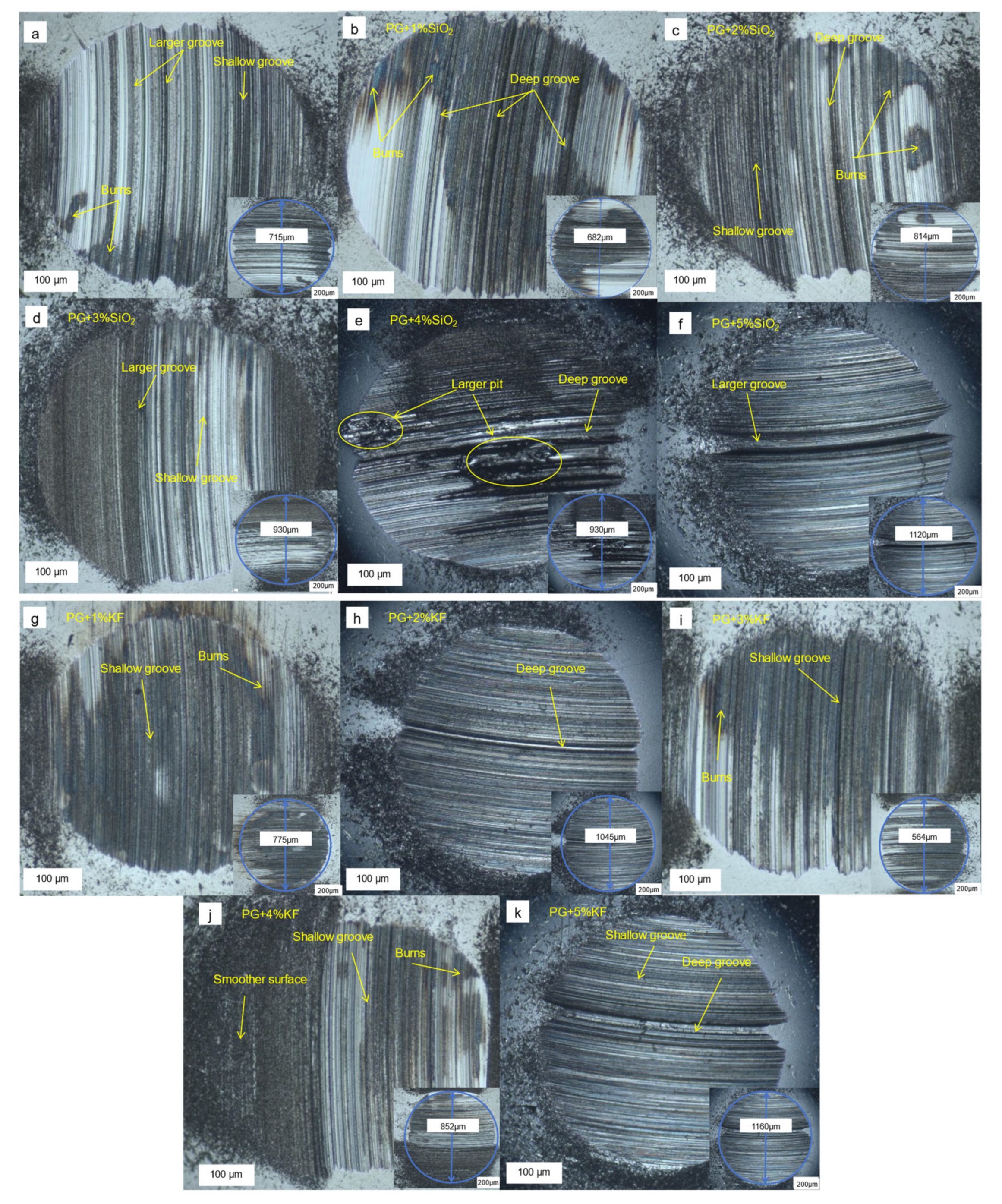 Lubricants 13 00159 g003