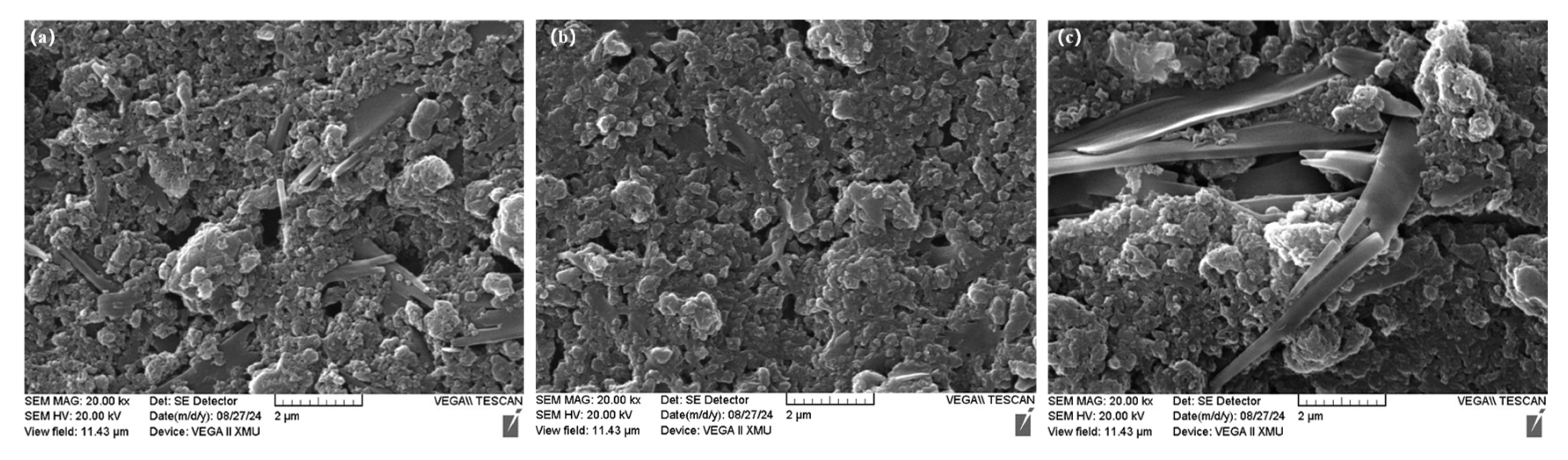 Lubricants 13 00159 g005