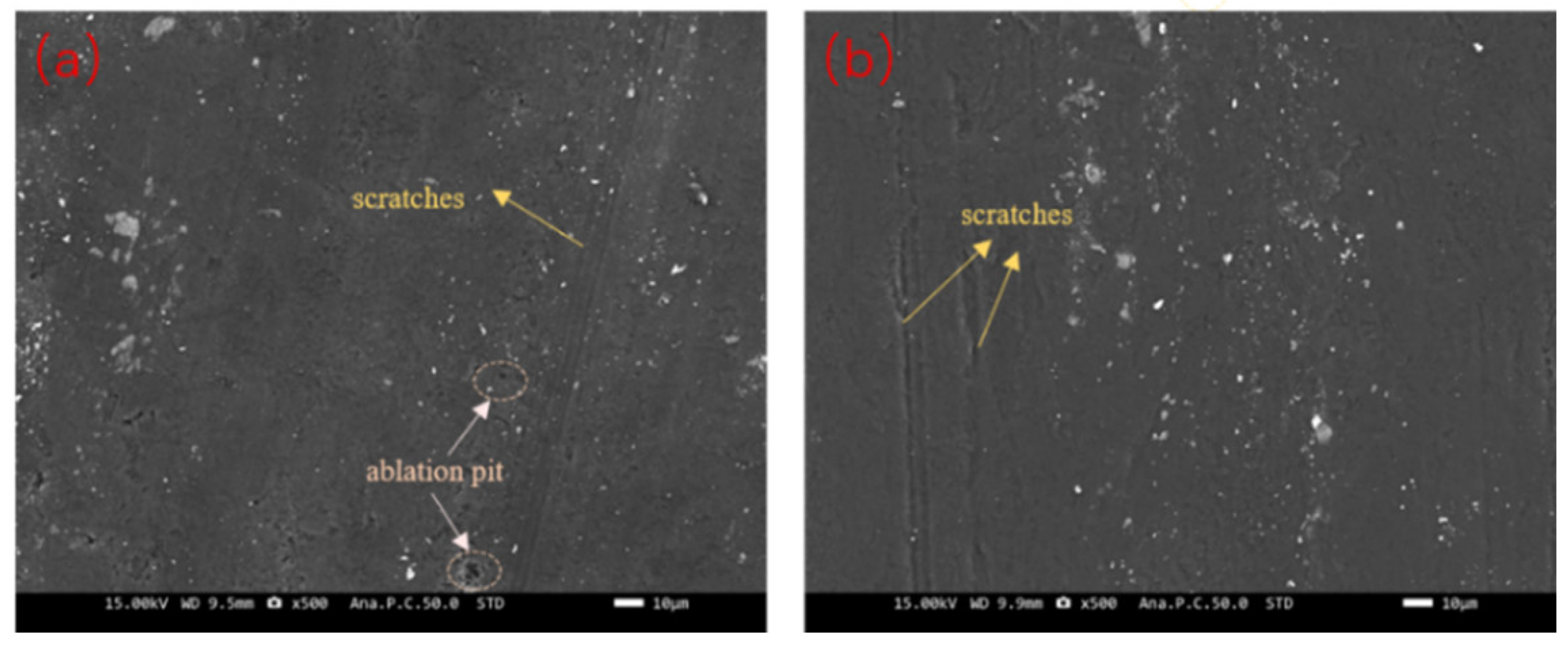 Lubricants 13 00162 g013