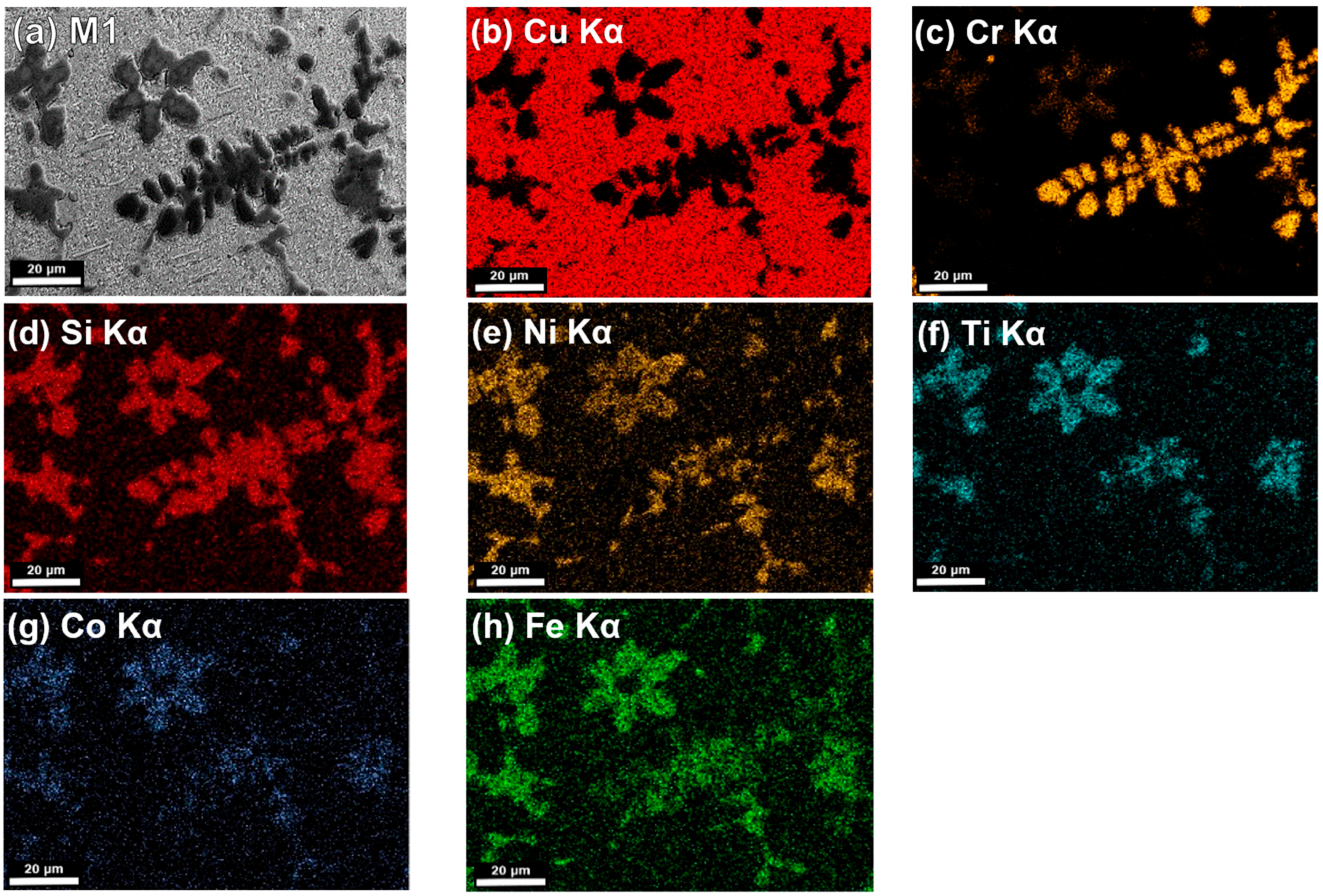 Lubricants 13 00164 g008