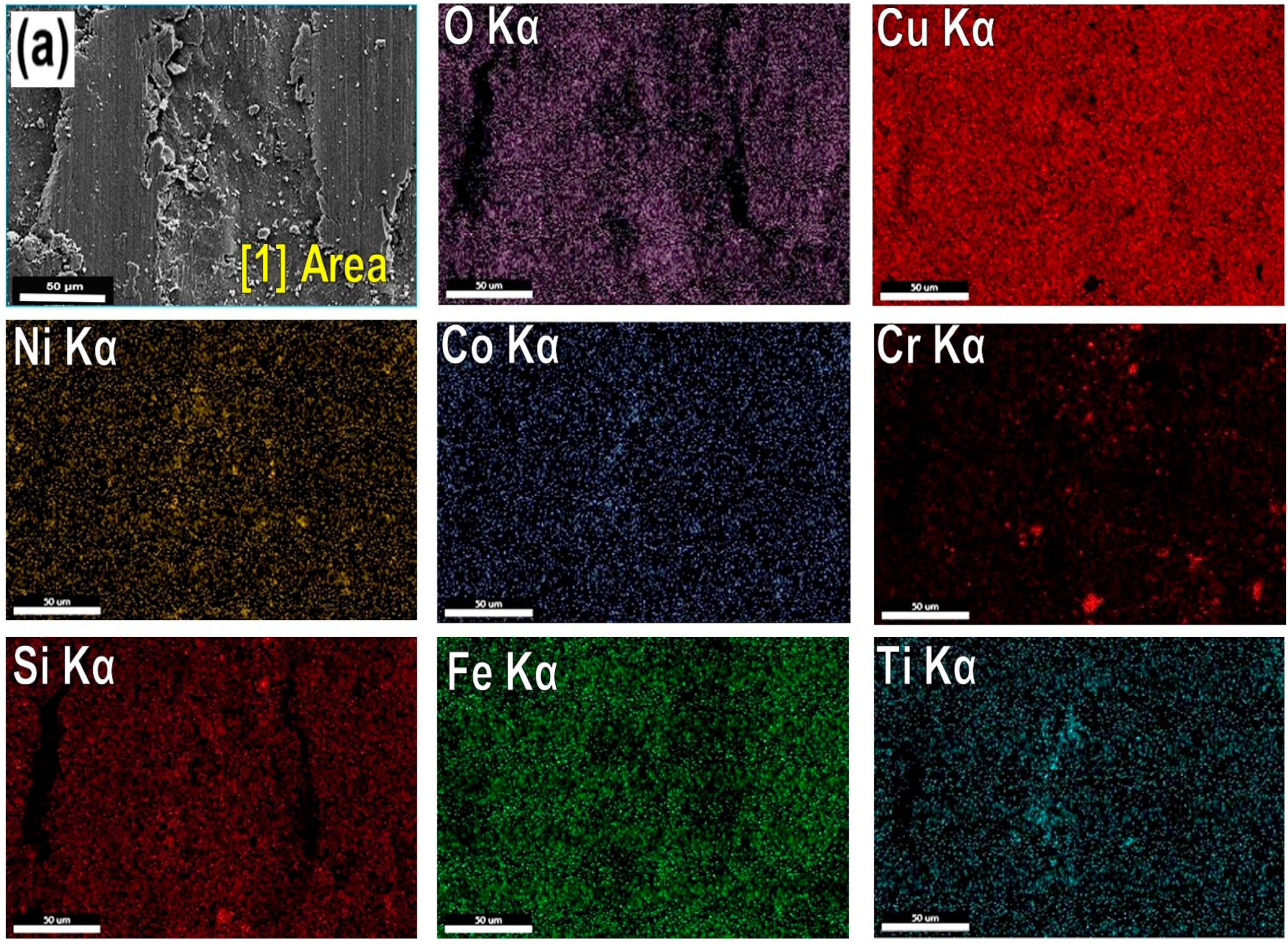 Lubricants 13 00164 g017a