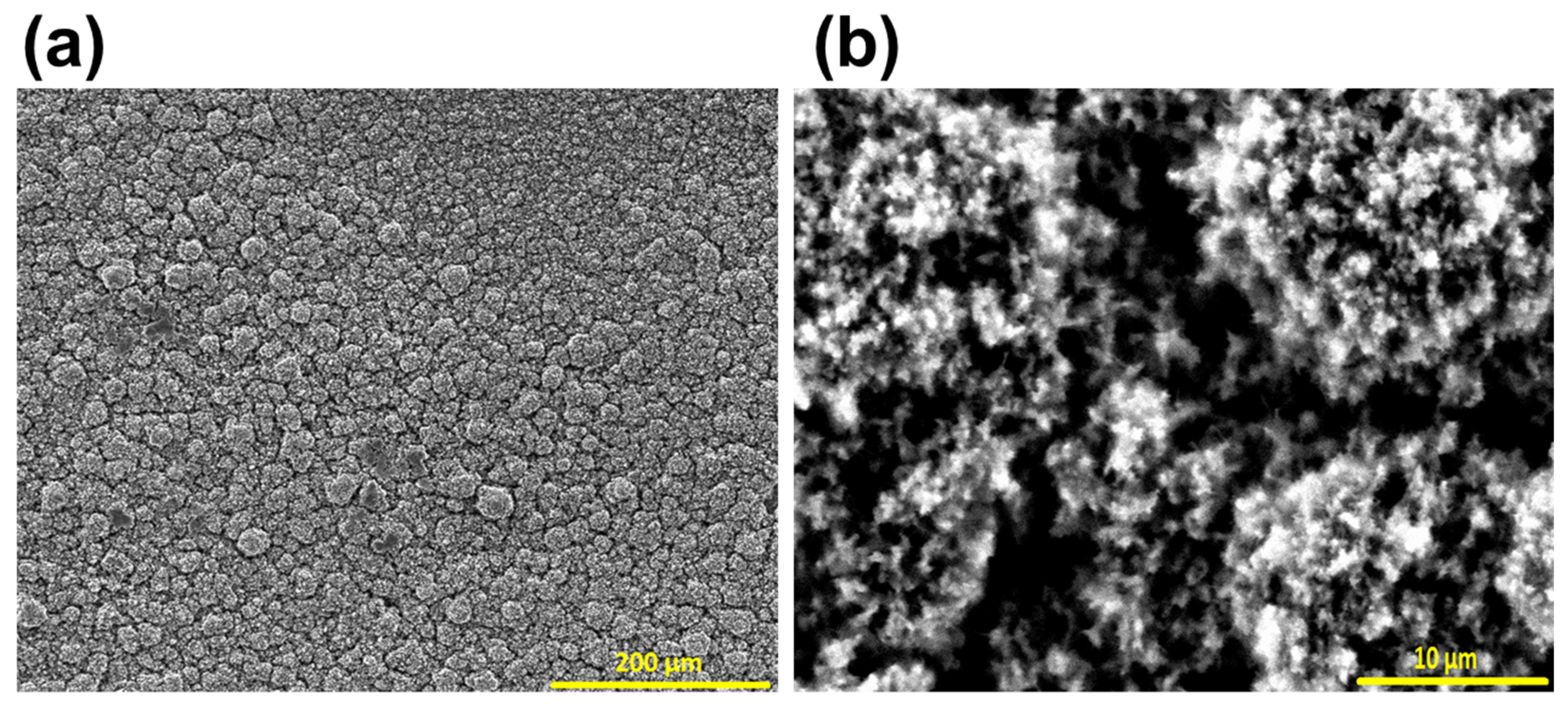 Lubricants 13 00167 g006
