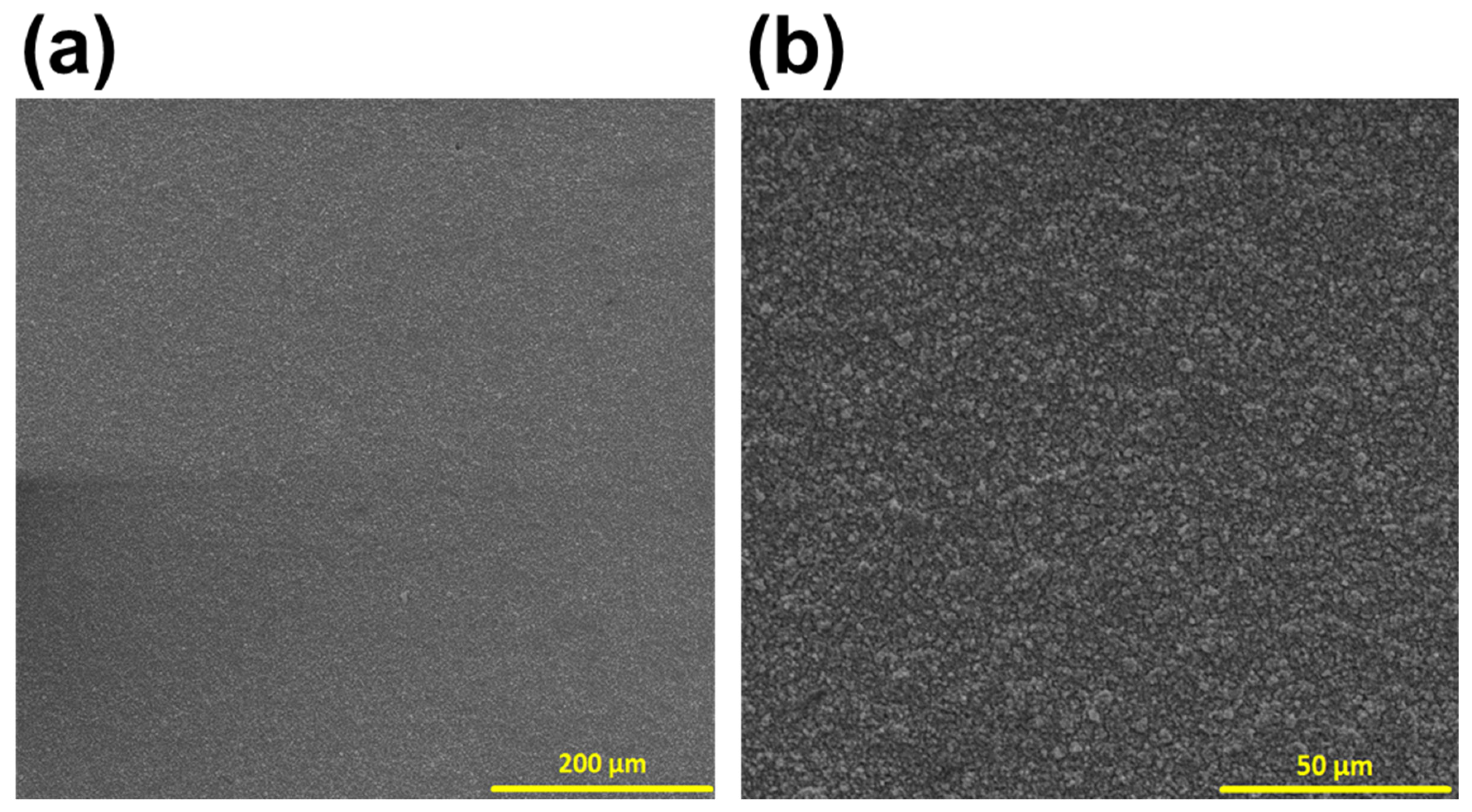 Lubricants 13 00167 g007