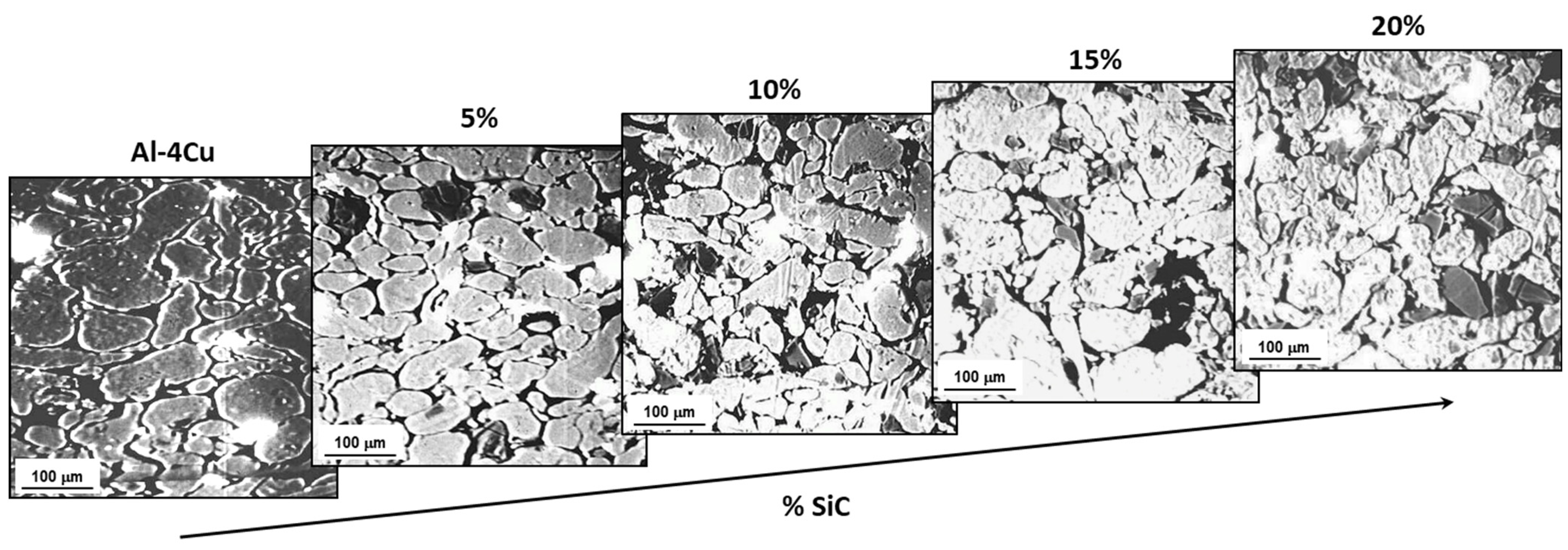 Lubricants 13 00172 g003