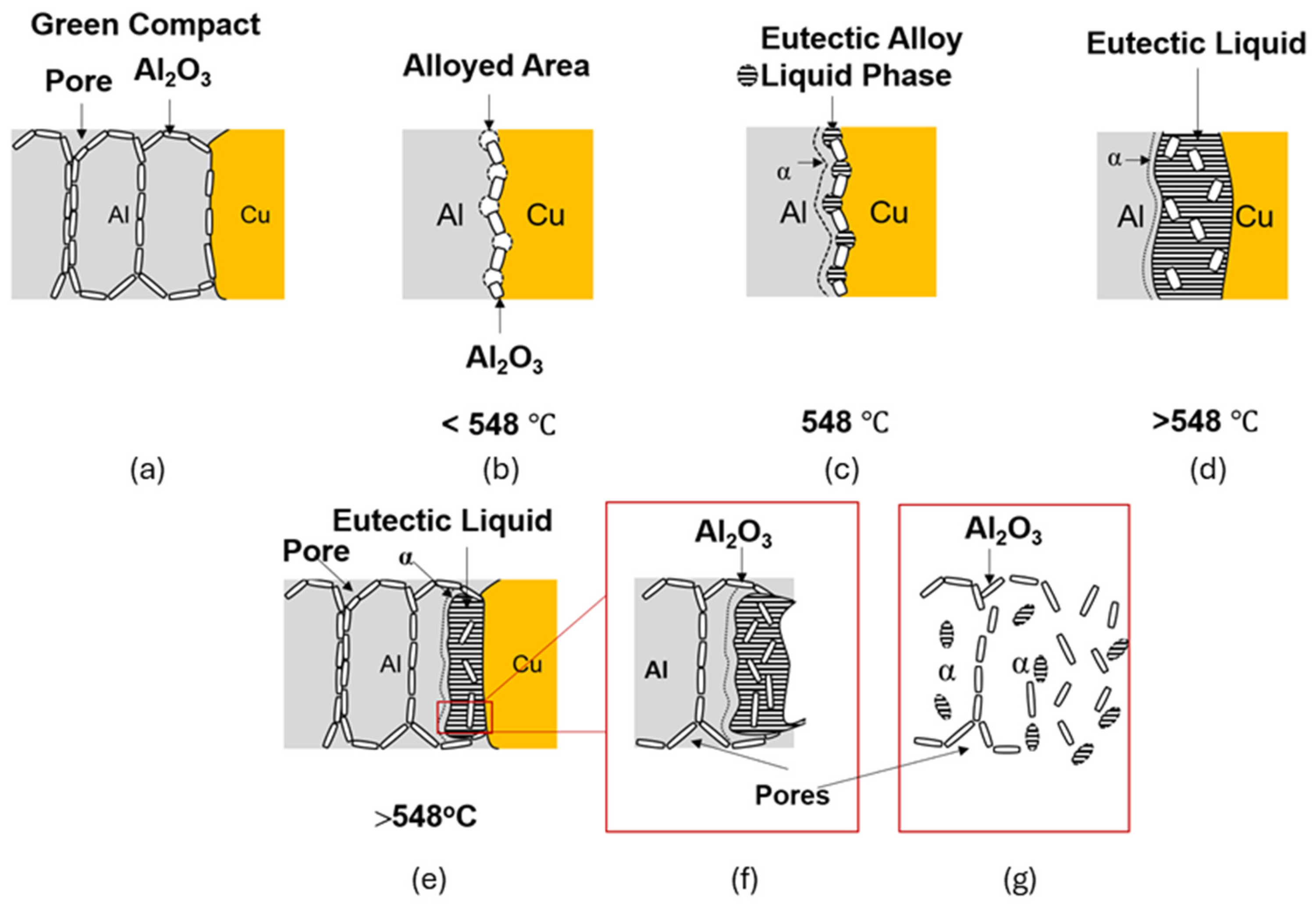 Lubricants 13 00172 g007