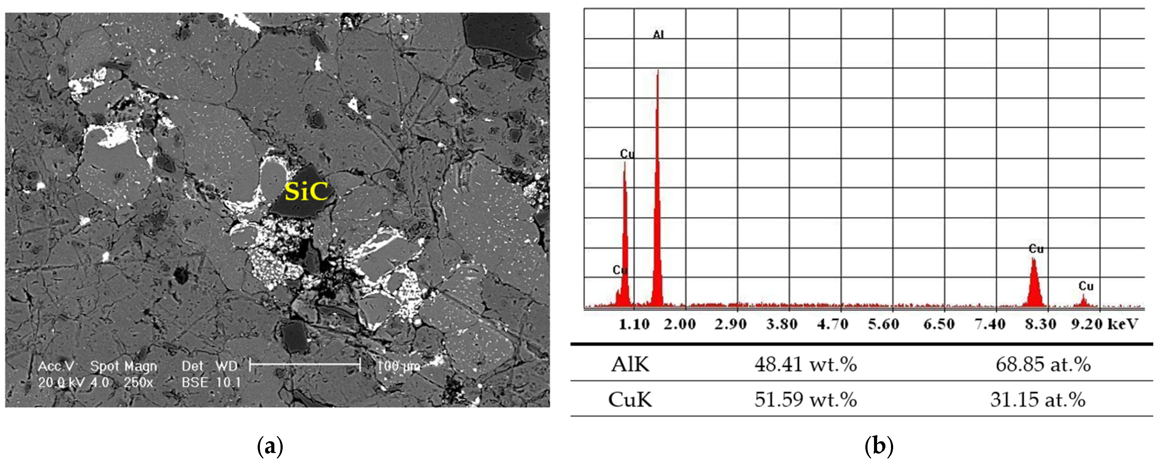 Lubricants 13 00172 g013a