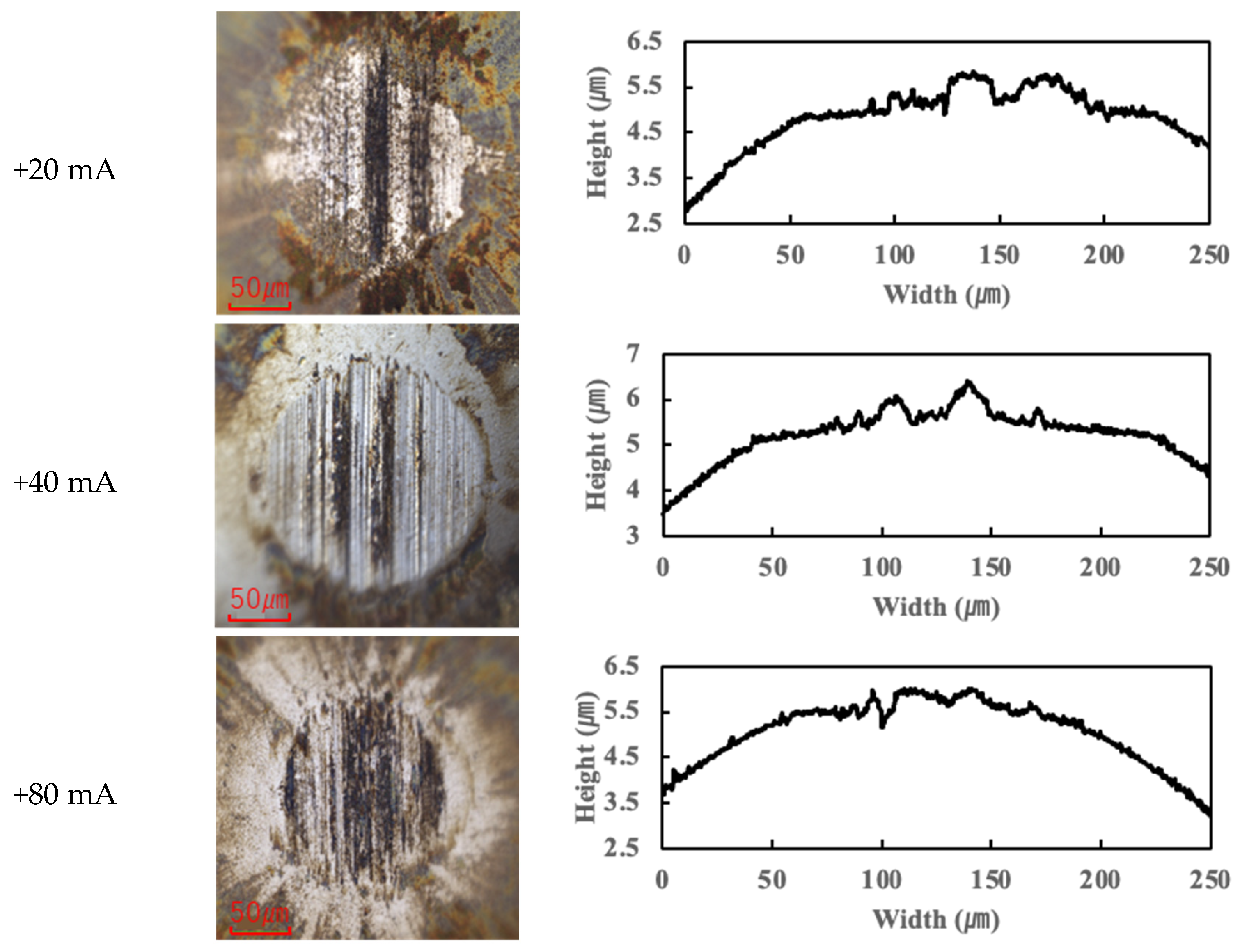 Lubricants 13 00173 g004c