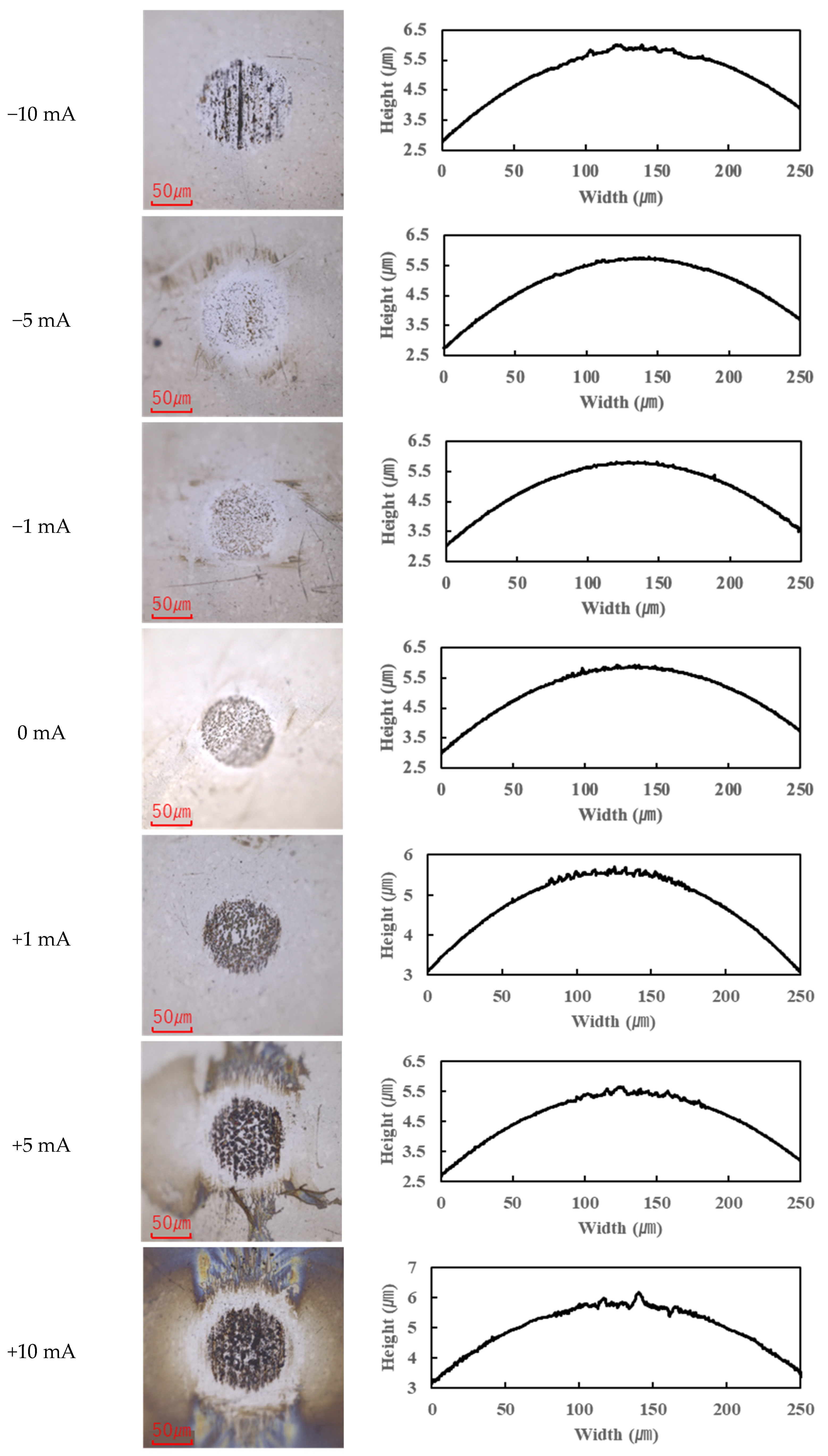 Lubricants 13 00173 g006b