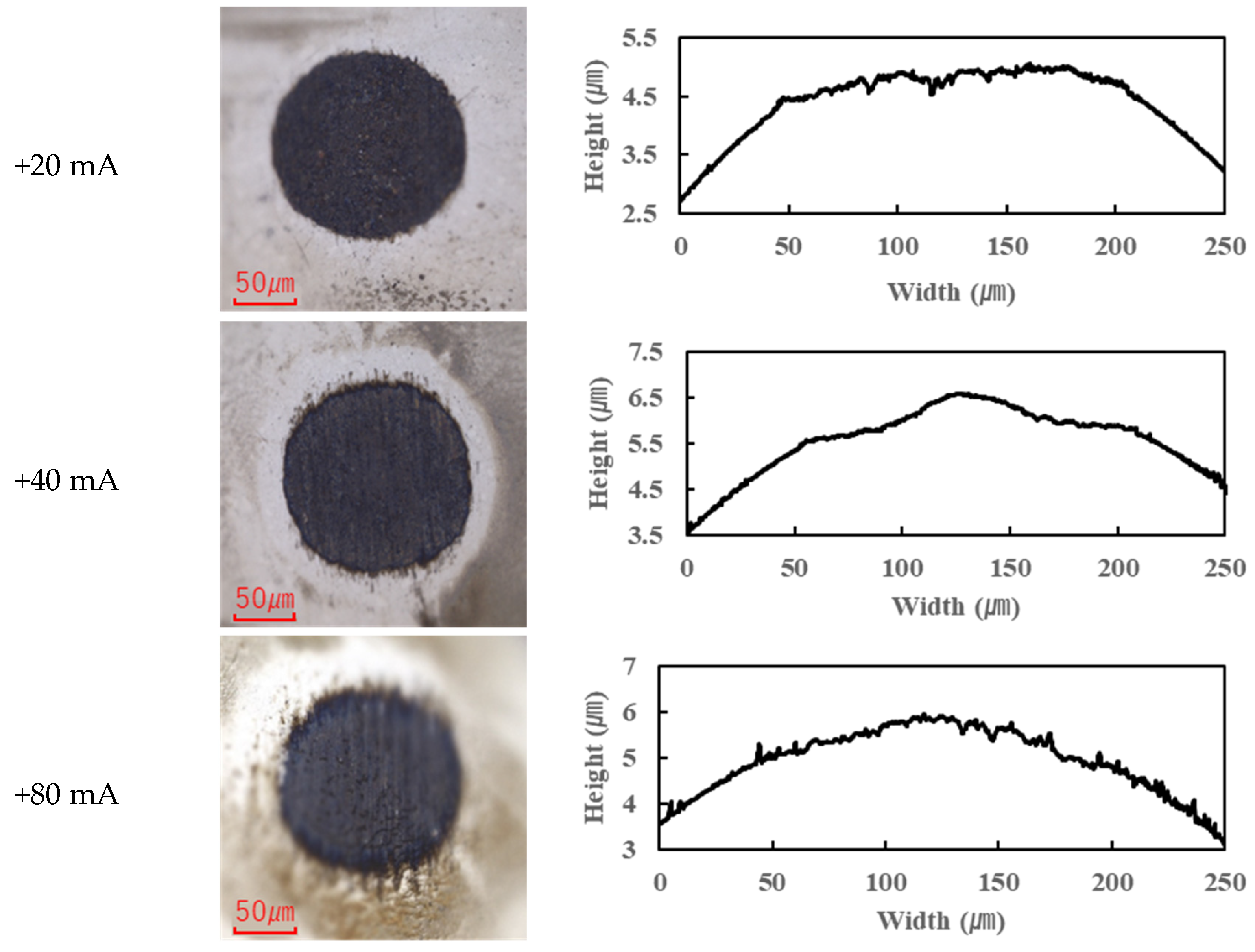 Lubricants 13 00173 g006c