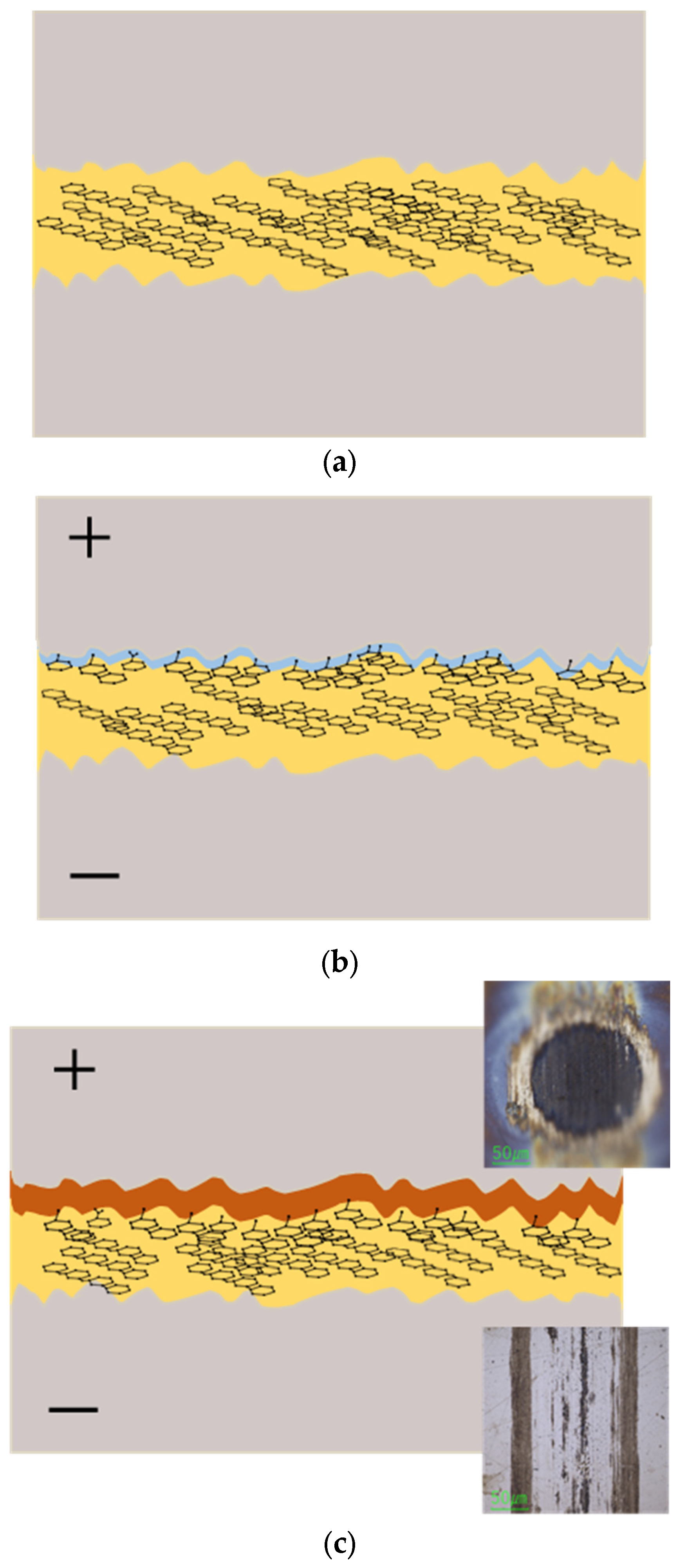 Lubricants 13 00173 g016