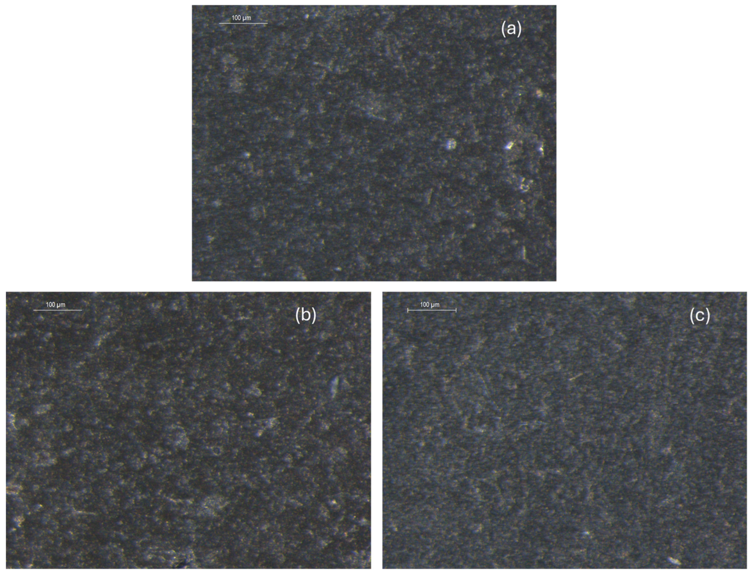 Lubricants 13 00176 g003