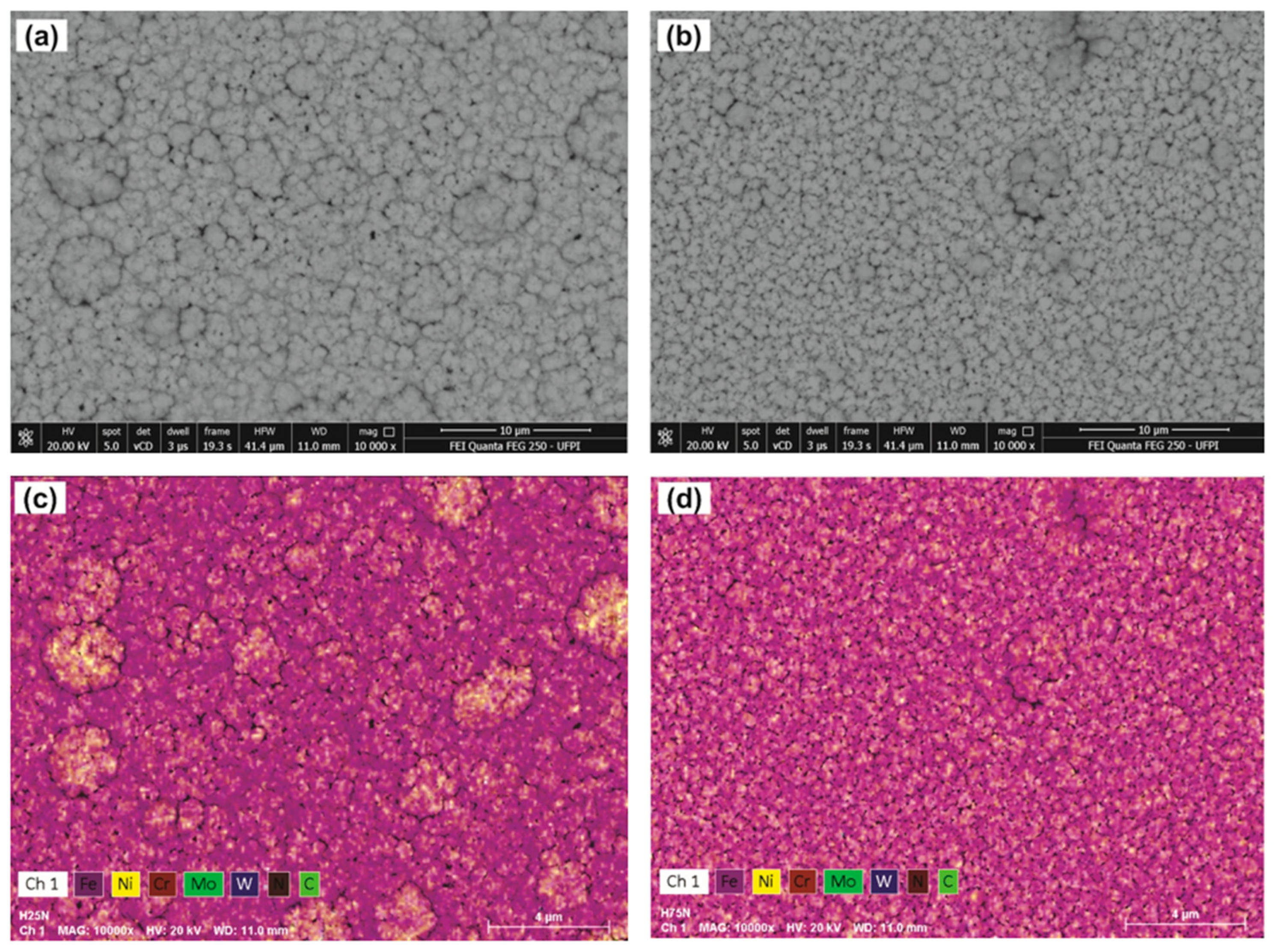 Lubricants 13 00177 g003