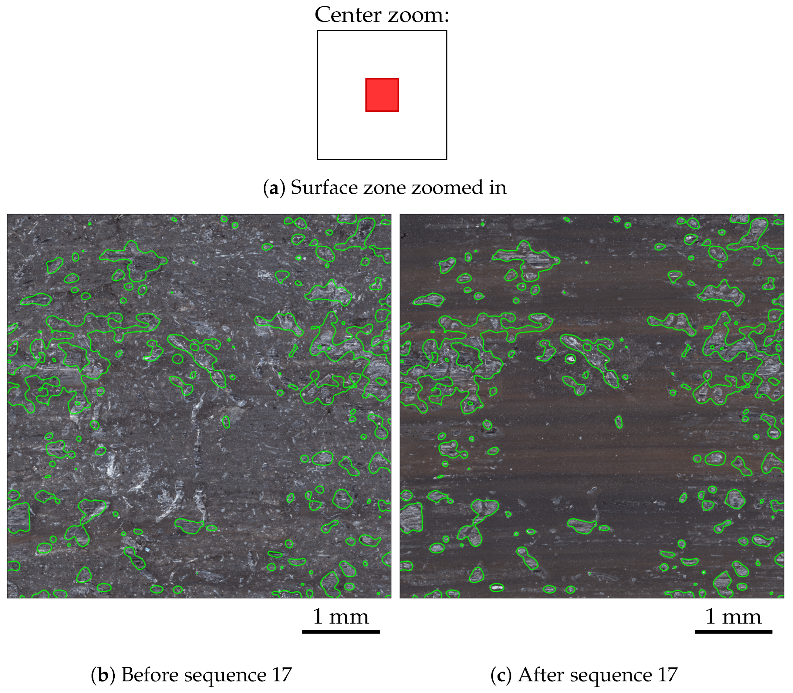 Lubricants 13 00186 g014