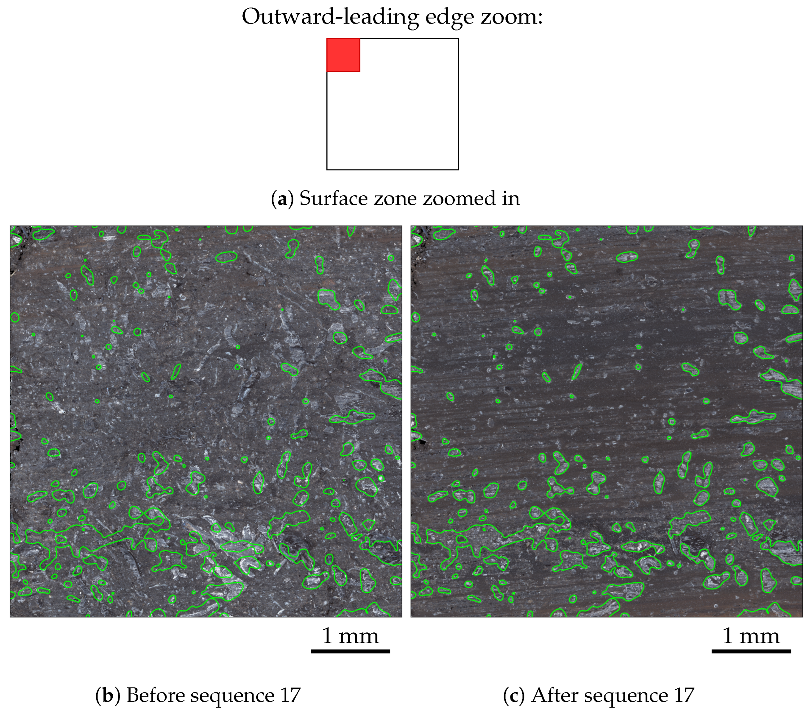 Lubricants 13 00186 g015