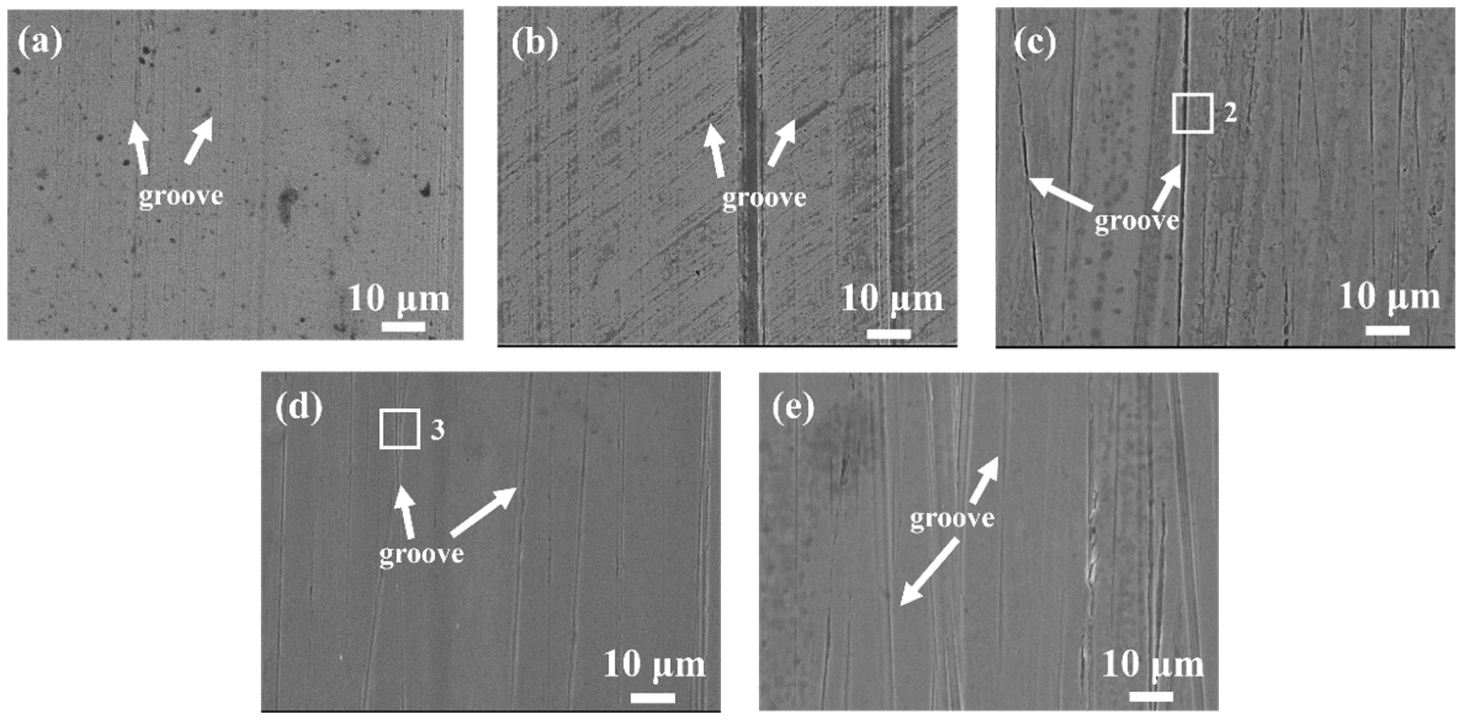 Lubricants 13 00187 g012